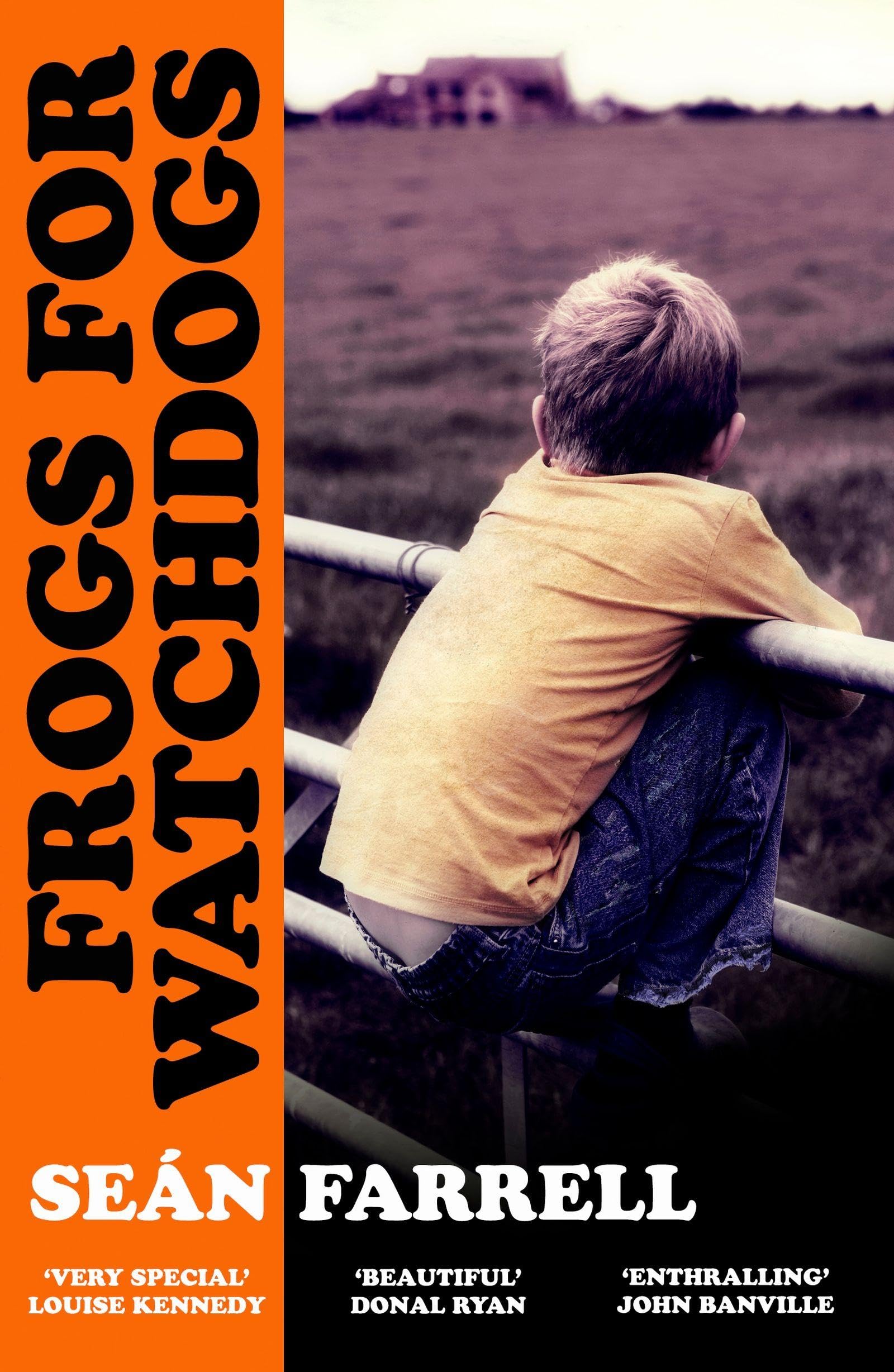 Frogs for Watchdogs: 'A stunning novel that will live long in my imagination’ DONAL RYAN