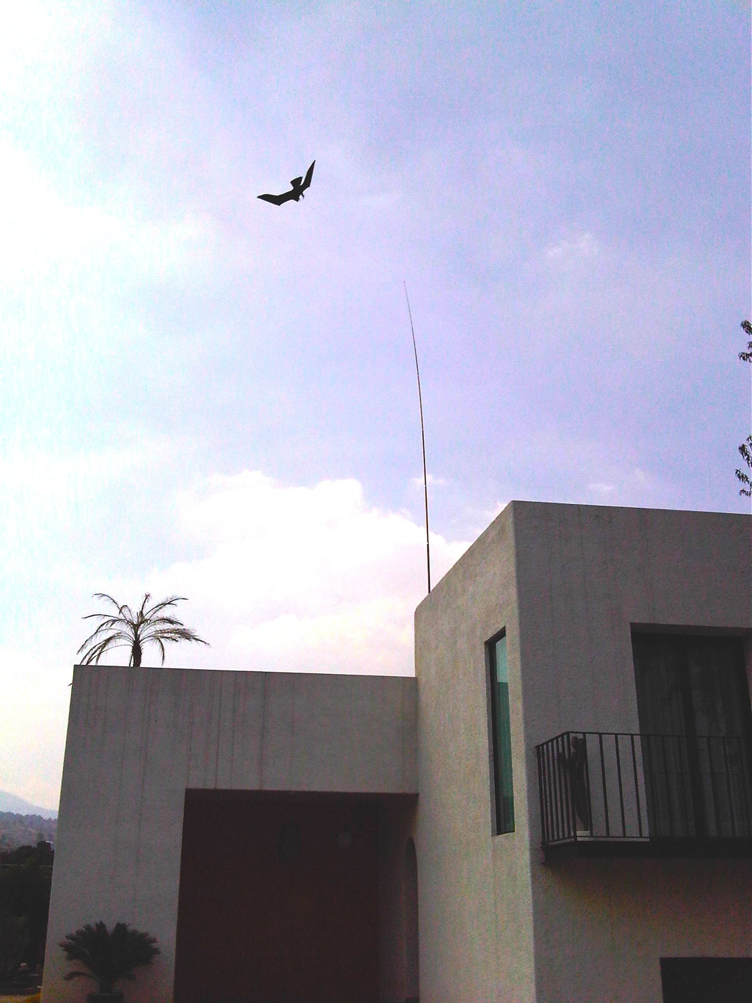 Cometa espantapájaros de calidad profesional 9 METROS