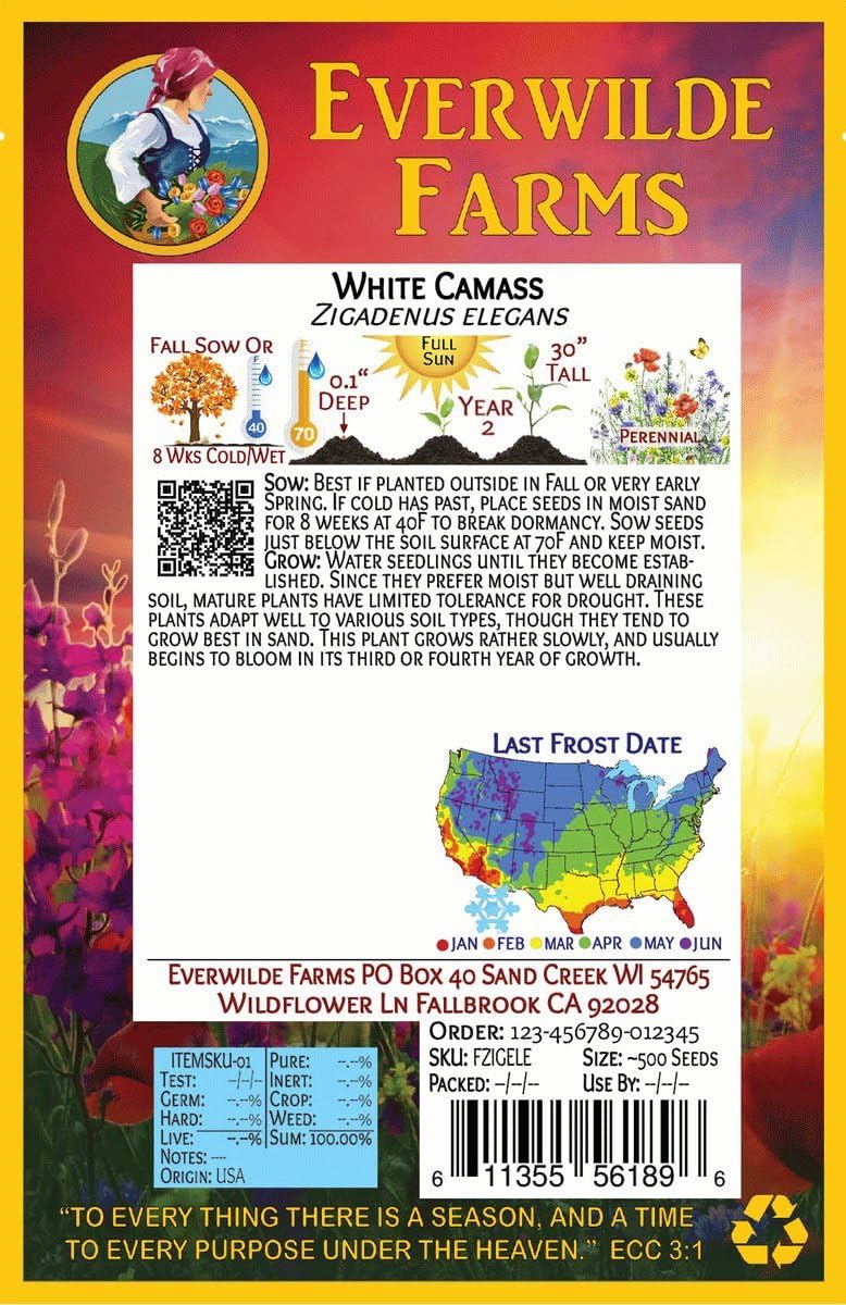 Everwilde Farms - 1 Oz White Camass Native Wildflower Seeds - Gold Vault