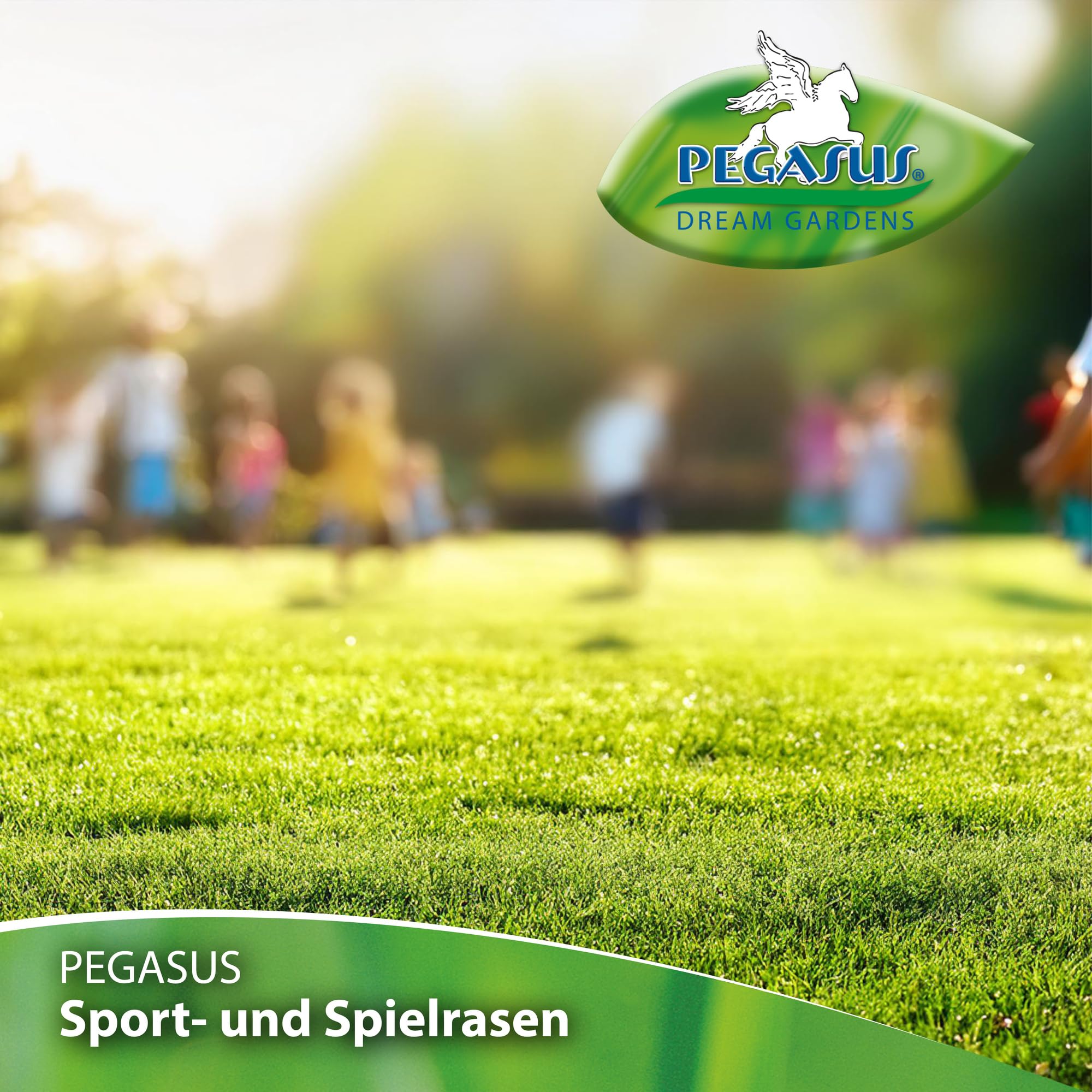 Kiepenkerl Pegasus 622395 - Sementi per prato, per sport e gioco, 10 kg