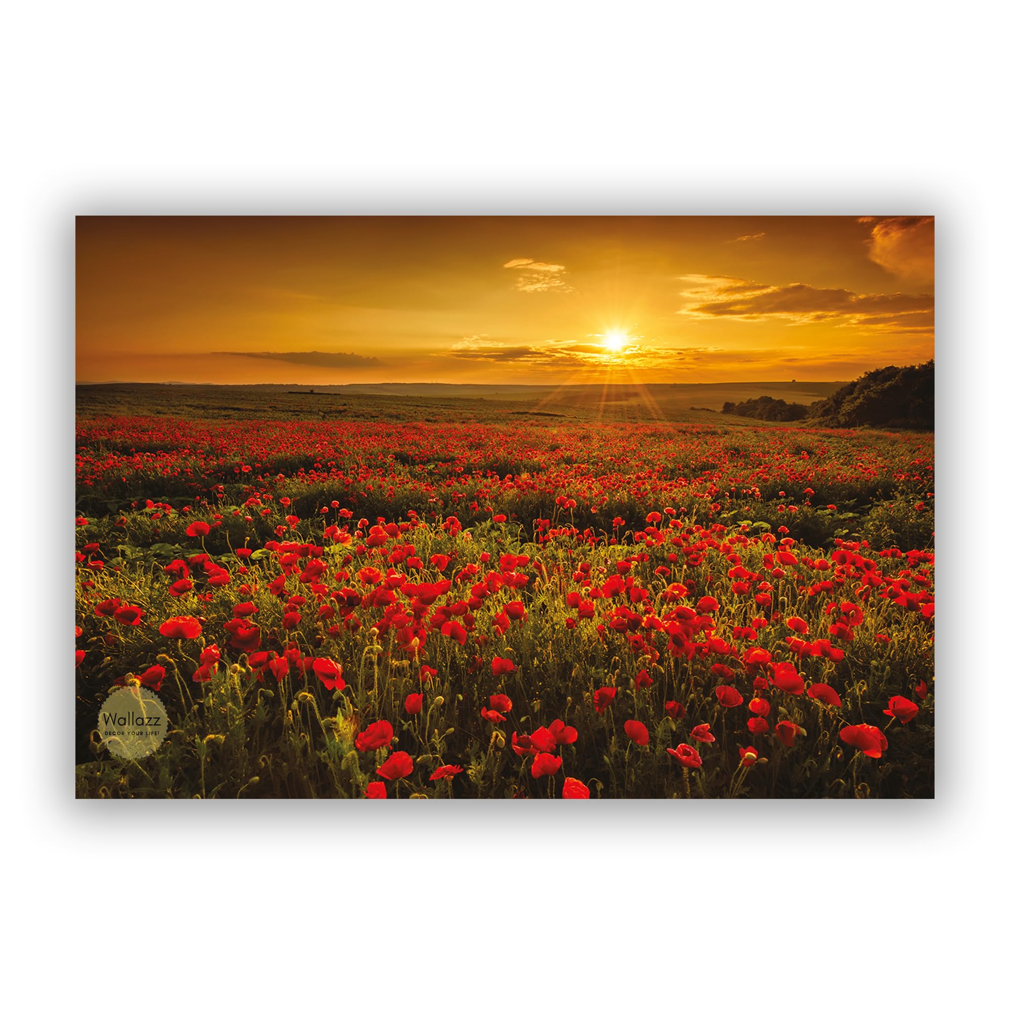 Wallazz Quadri Moderni Soggiorno Paesaggio di campagna, Fiori - 100% Made in Italy - Stampa su Tela - Quadro Camera da Letto - Qualità Artigianale - 60x120cm