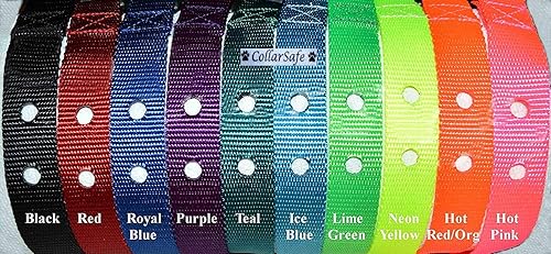 CollarSafe Collar de repuesto de nailon de 1 pulgada de ancho con hebilla resistente, se adapta a la mayoría de módulos receptores de 2 orificios de