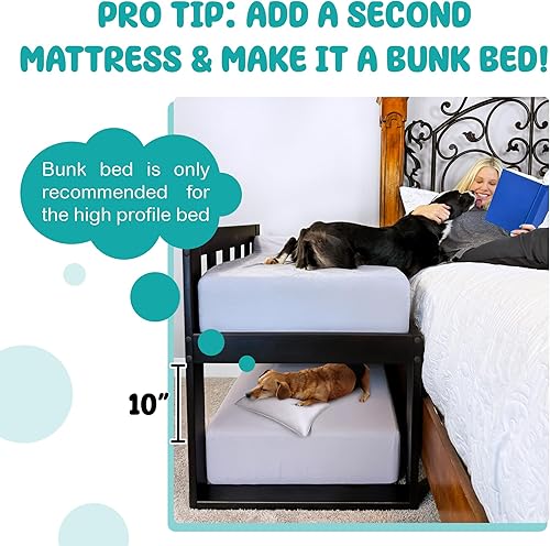 Miniatura 4 de Marco de cama para perro, marco de cama elevado de madera para perro, solo cama de cama de estilo humano, para perros y gatos, moisés de madera para