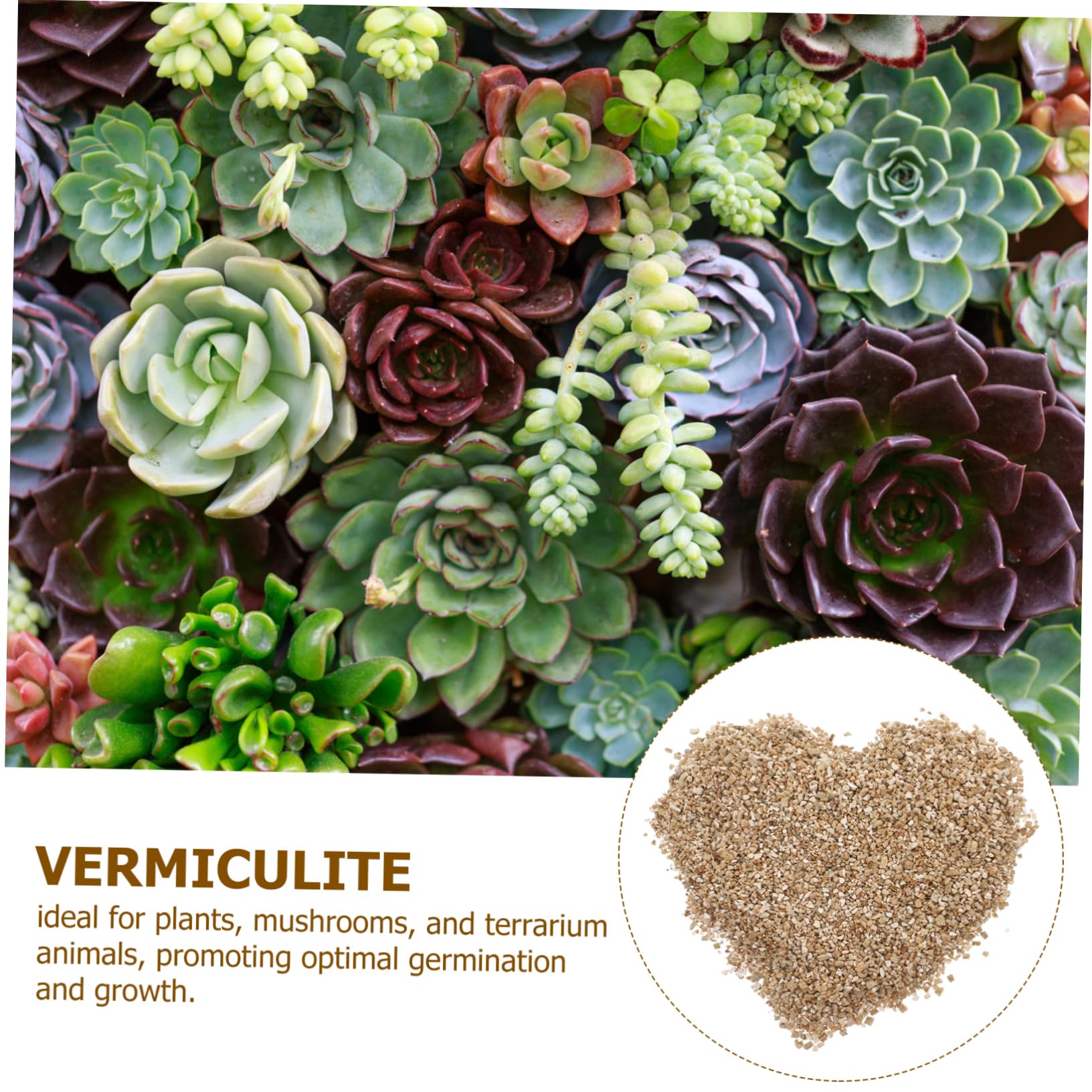 ifundom Vermiculite Fine 3l pour Semis et Croissance des Plantes | Granulés Horticoles, Rétention D’eau Élevée, Usage Intérieur en Pots et Plantation Agricole