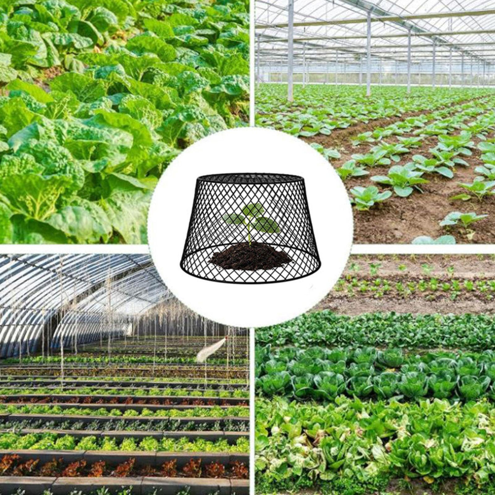 Cloche de Protection pour Lot de 10 Filets de Protection