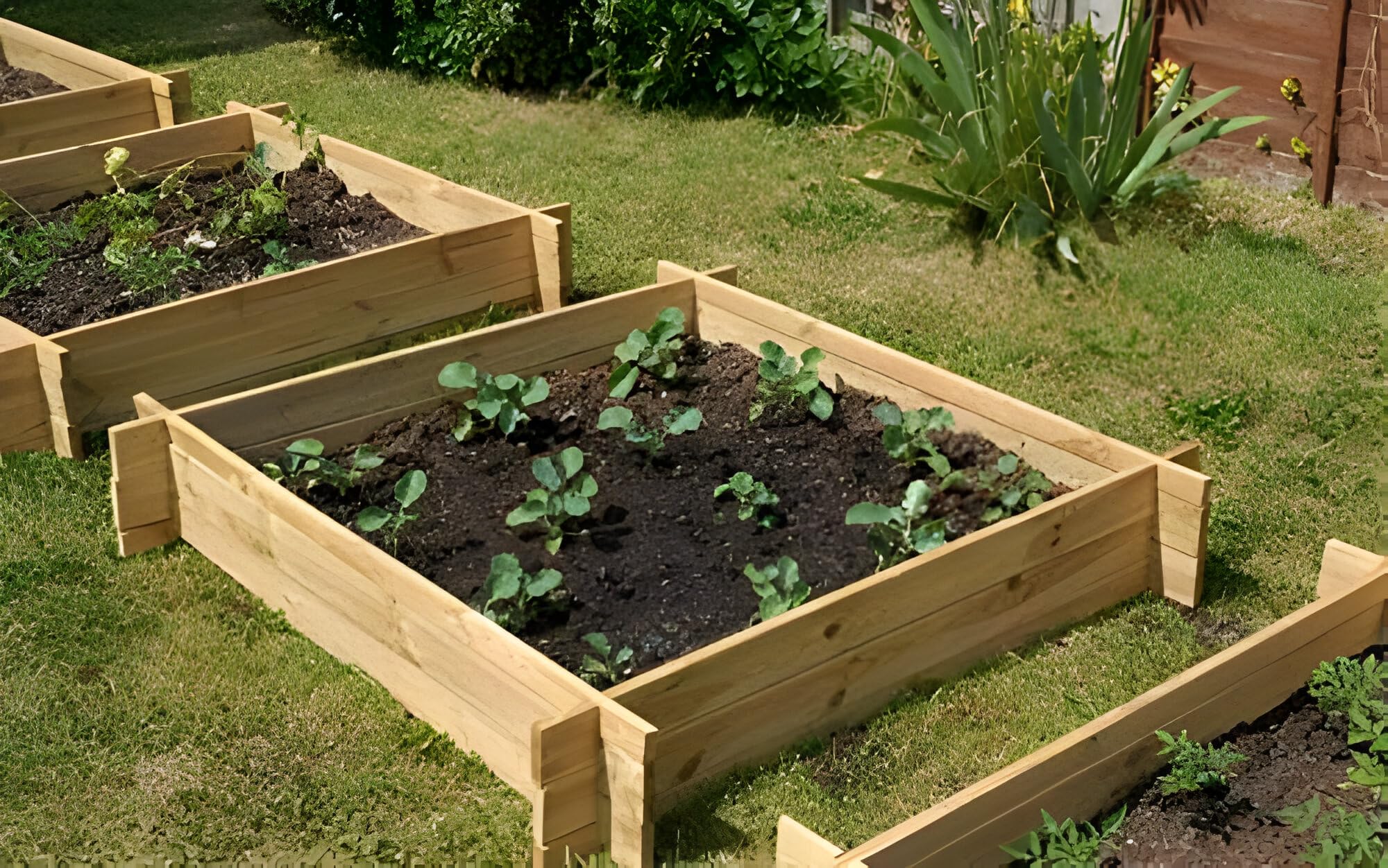 Chamberlain Rectangular Wooden Raised Grow Bed 155x80x20cm - Primrose