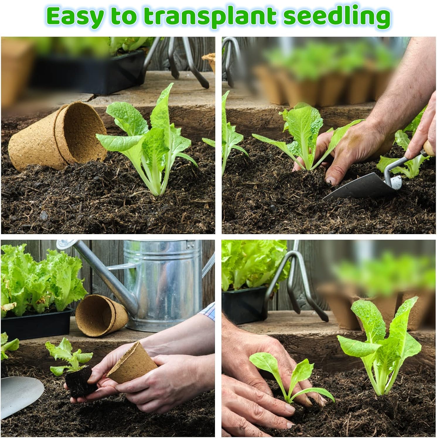 150 Pack Peat Pots Seed Starters 2.4 Inch Peat Pots Round Biodegradable Seed Starting Pots, Eco Friendly Nursery Pots Set for Vegetable Seed Germination (2.4 Inch Round, 150 Pack)