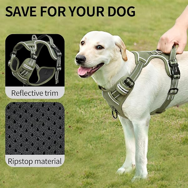 HEELE Dog Harness, Dog Harness for Small Medium Large Dogs No Pull Adjustable Padded Reflective Harness with Handle for Walking Training, Green, S - 3