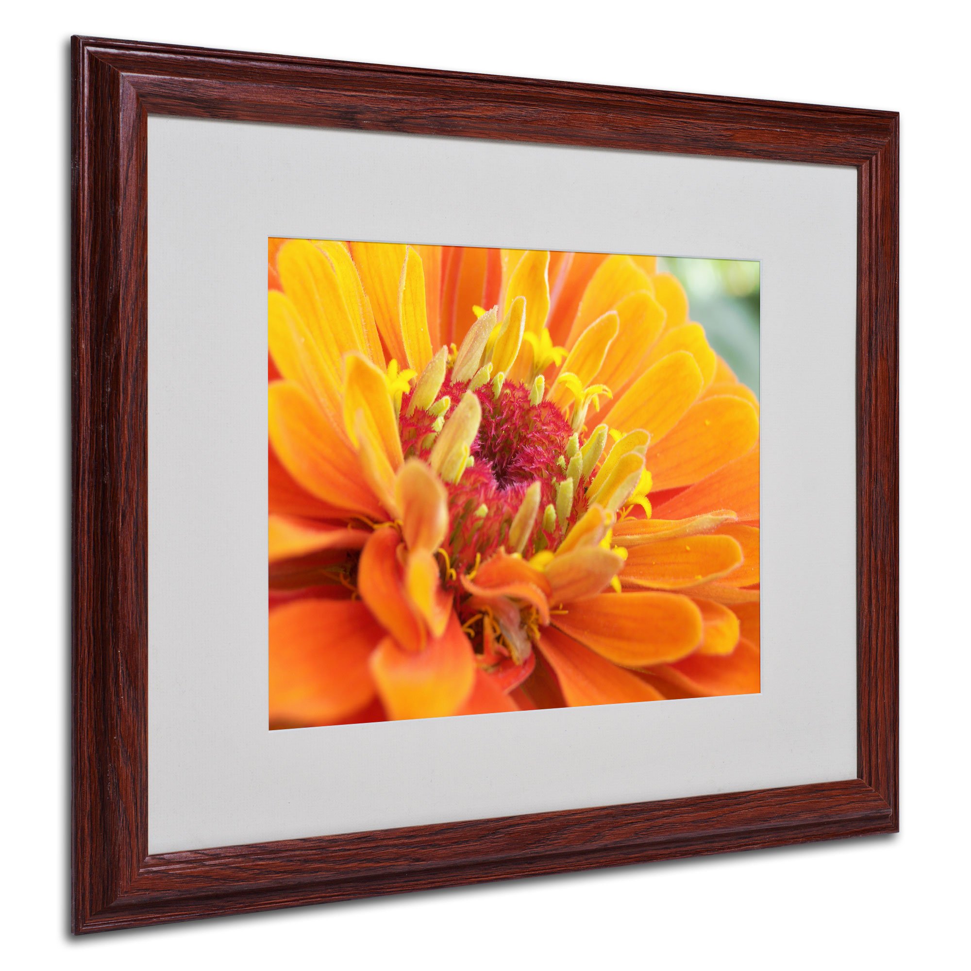 Balanced Beauty by Monica Fleet, Wood Frame, 16 by 20-Inch