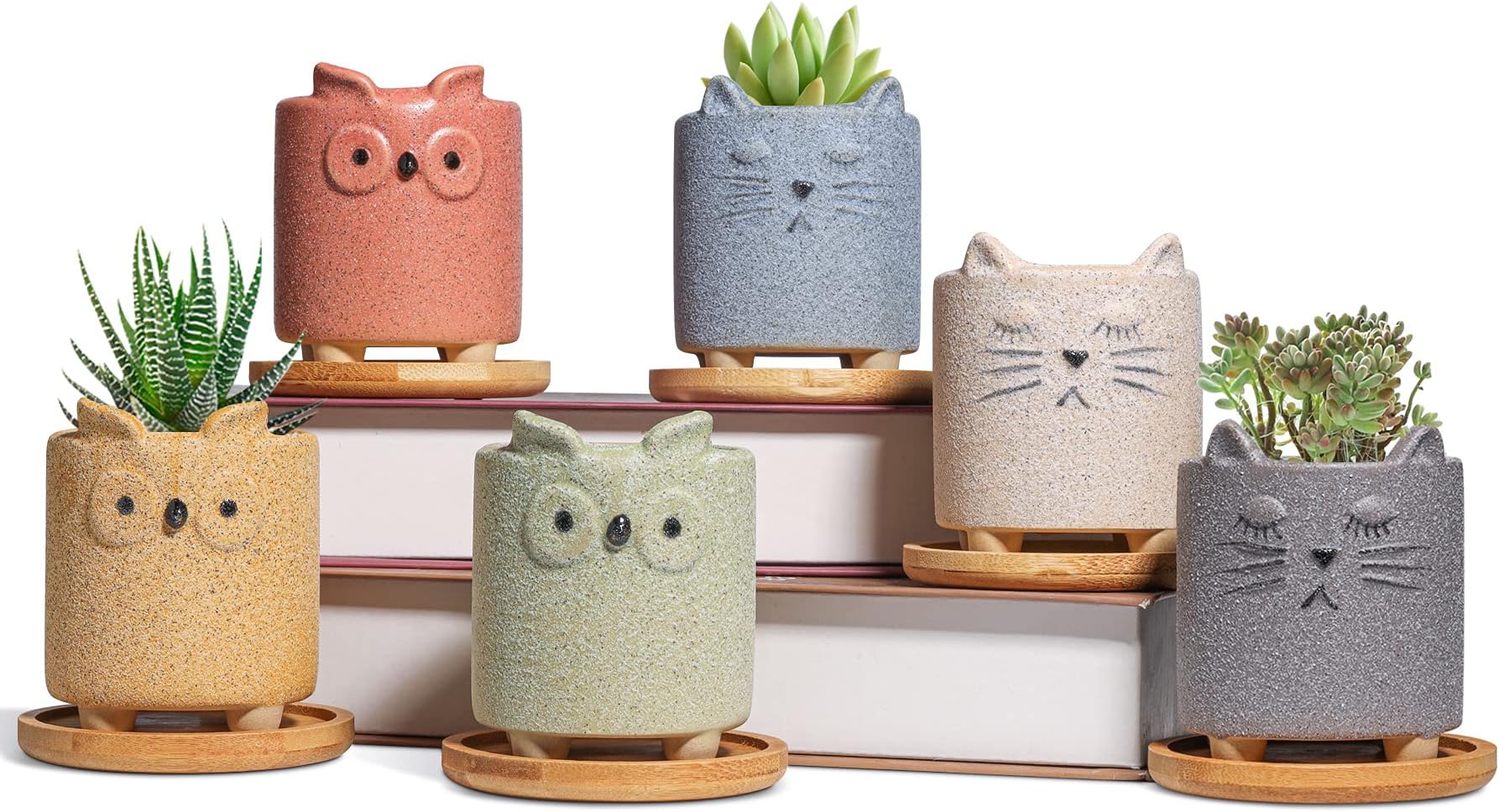 Cat Plant Pots