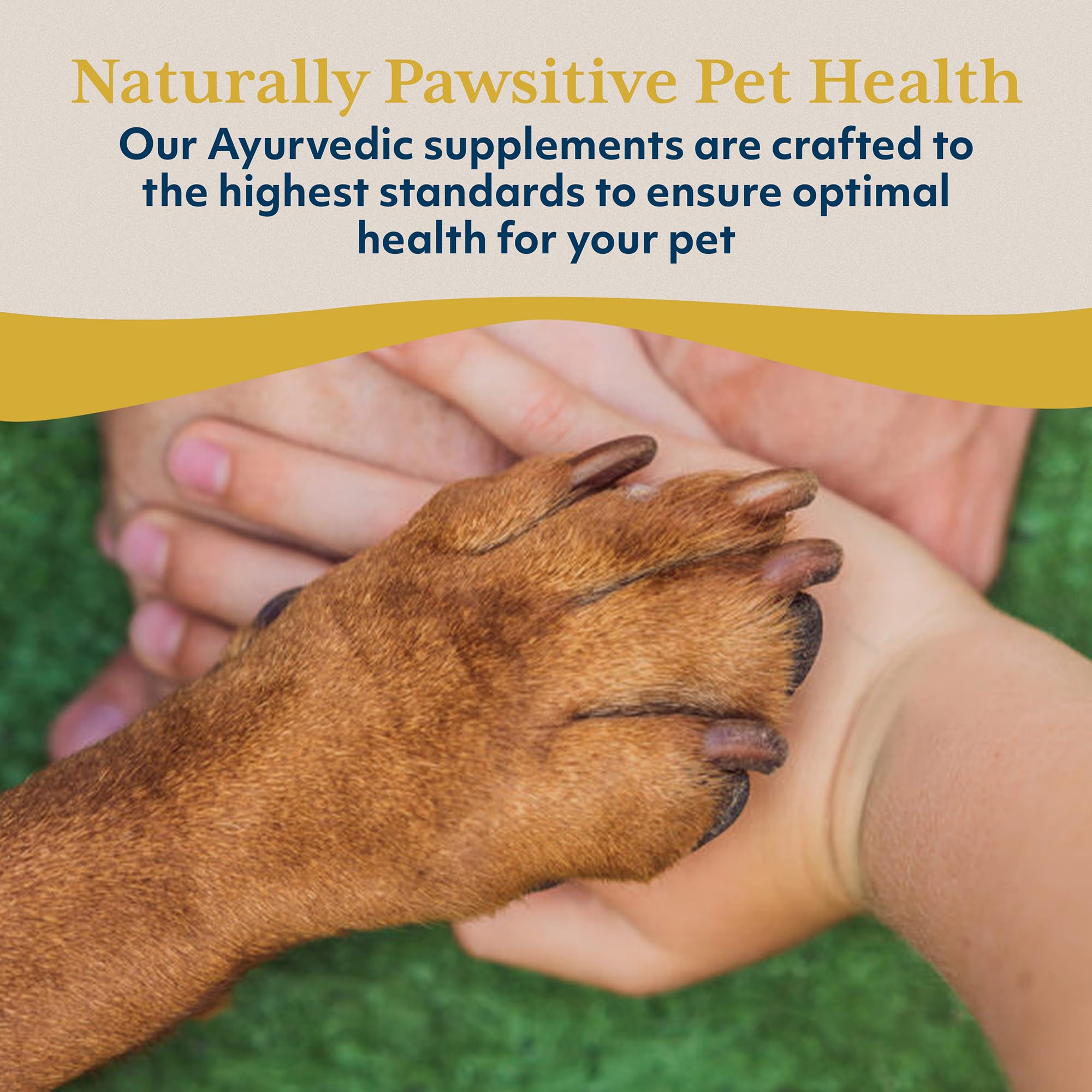Ayush Pet Livit-2, Dog Liver Support Supplement, Dogs & Horses, 90 Servings — Amazon image 7