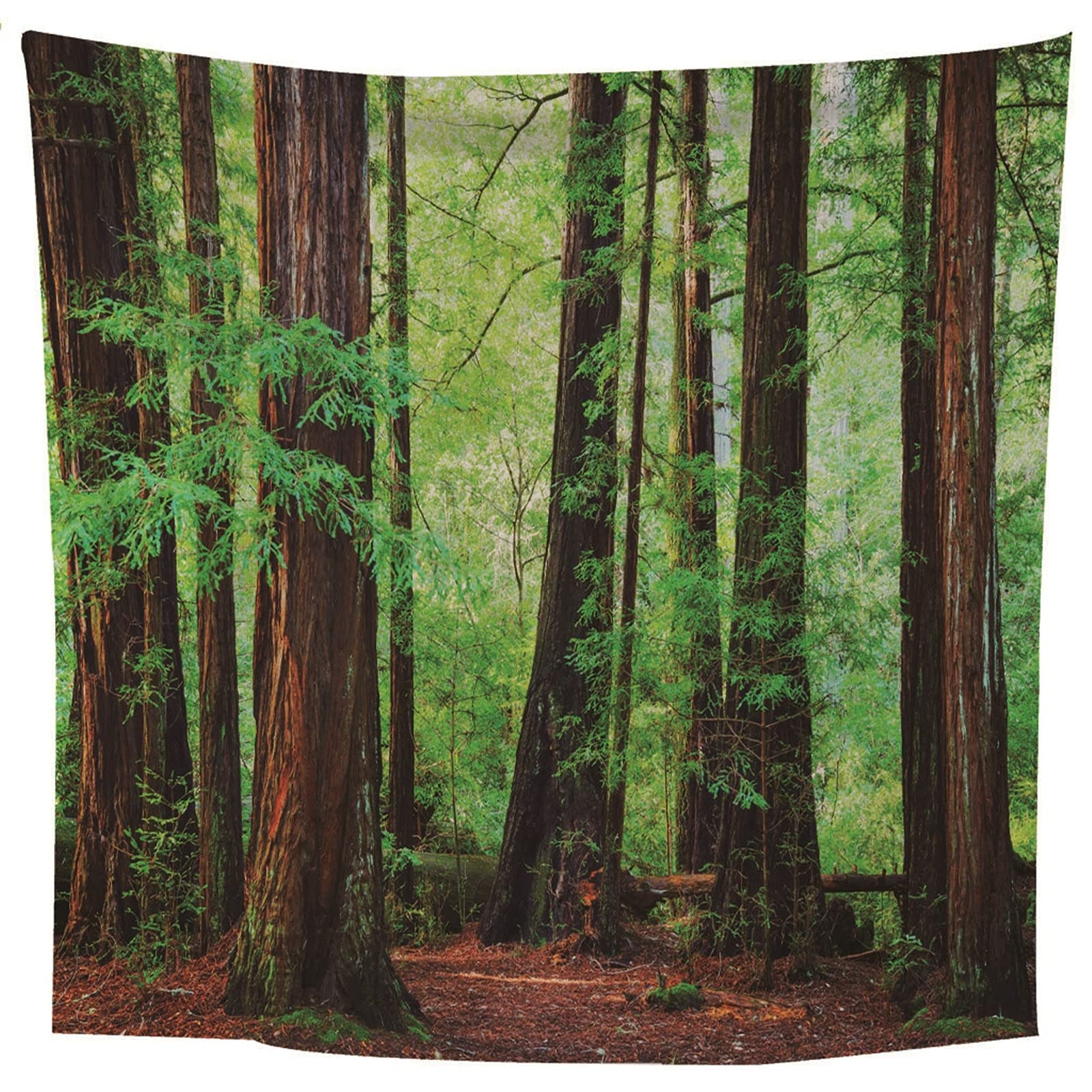 Aeici Tela Mural Pared, Manta Pared Decorativa Tapiz de Pared Bosque Tapiz- Marrón Verde, 350x256CM