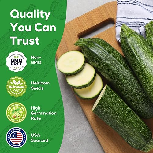 Miniatura 2 de Semillas de calabacín para plantar, 45 semillas de calabaza de verano Black Beauty, sin OMG, paquete de semillas de vegetales tradicionales para el
