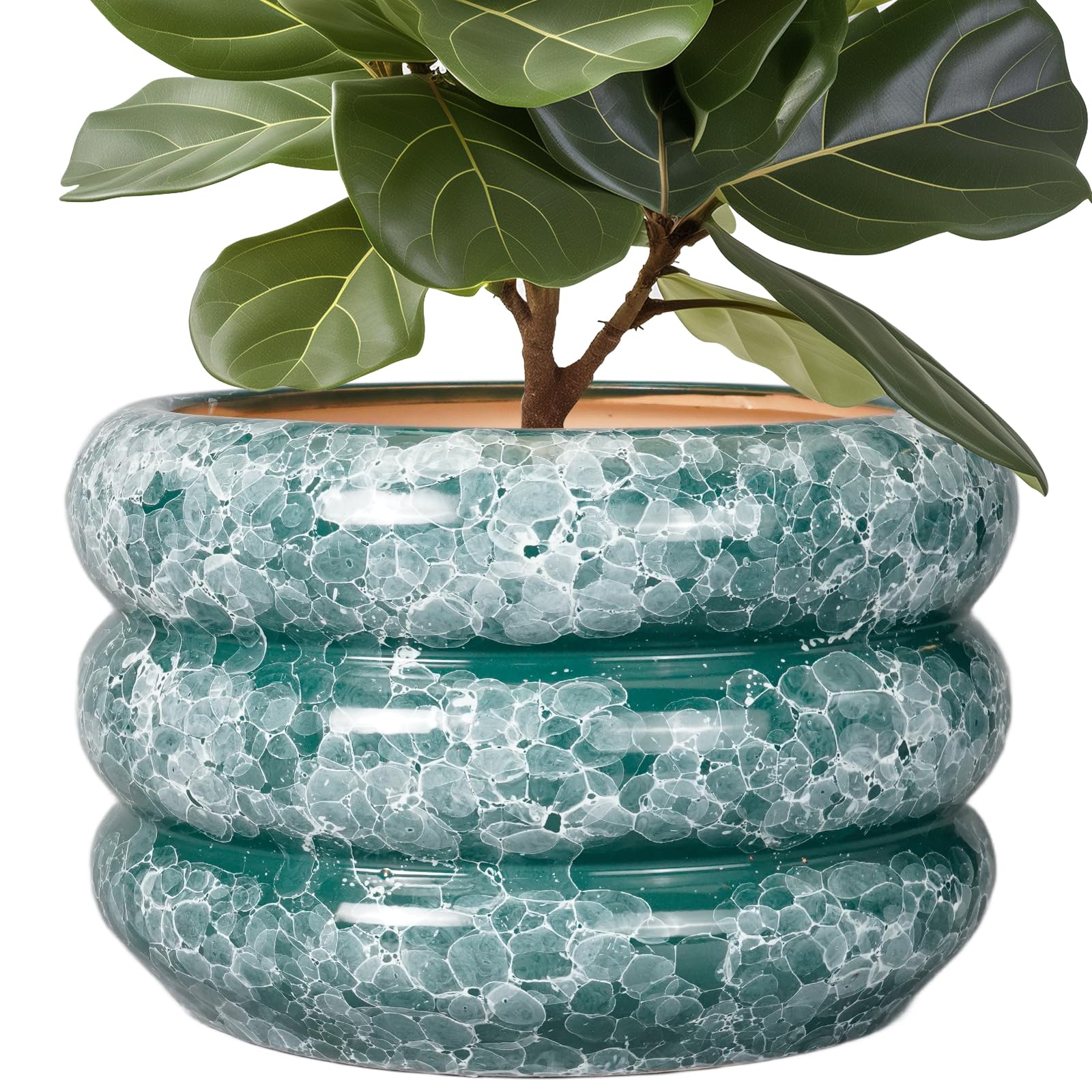 SQOWL Ceramic Planter