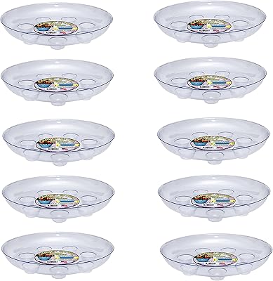 CWP Heavy Gauge Footed Plastic Saucer, Clear, 10-Inch (Pack of 10)