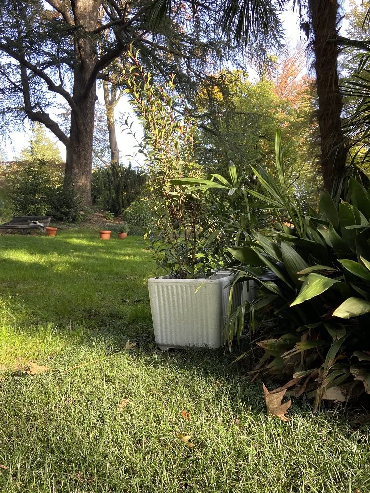 Garden Italia Vasi da giardino Quadro centorighe GQC Lato 50 cm alt.45 cm Made in Italy 100% riciclabile - Vaso in polietilene color Pietra