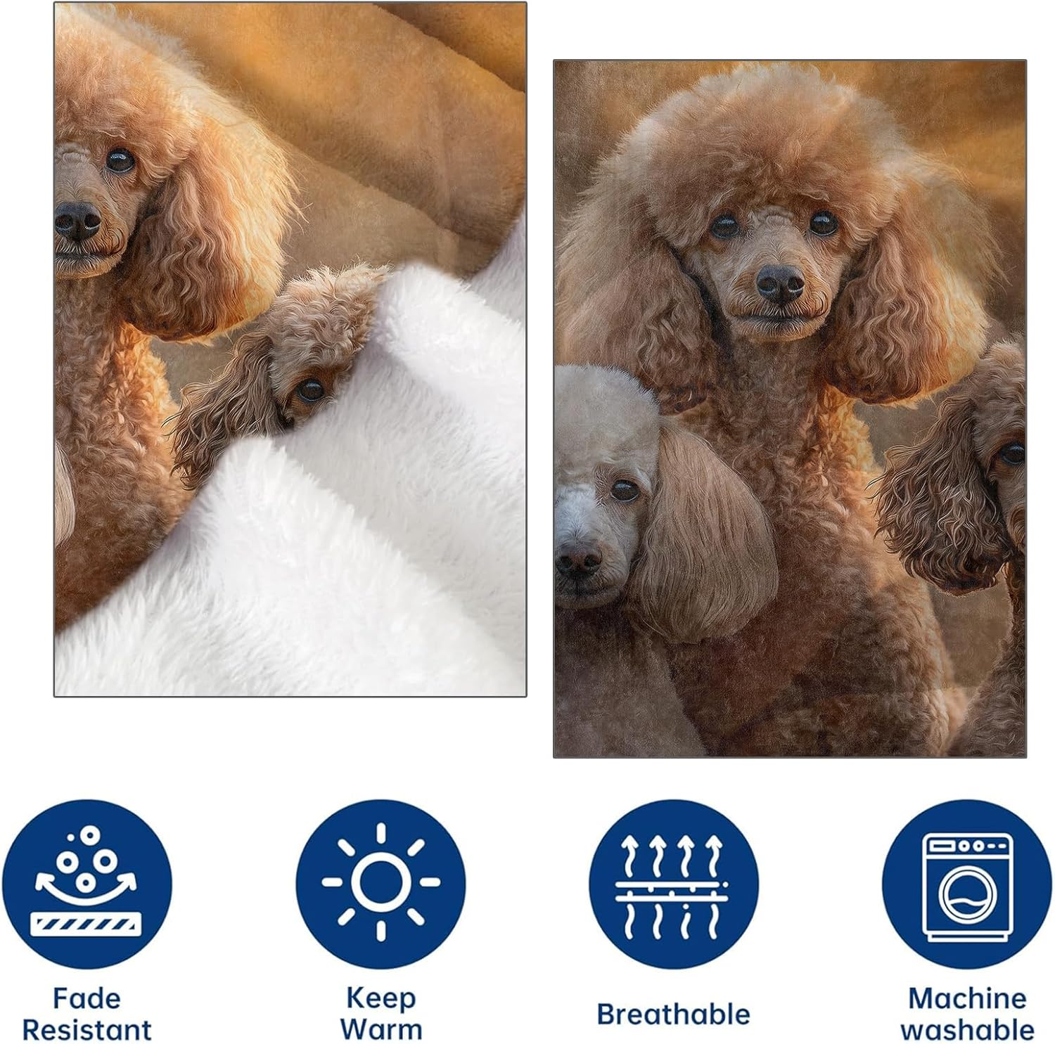 Realistic Poodle Flannel Throw Blanket 50x60 Inch, Elegant Dog in Warm Sunset Light Blankets Soft Cozy Fleece Throws for Pet Lover Bed Sofa Dorm Living Room Puppy Home Decor Gifts