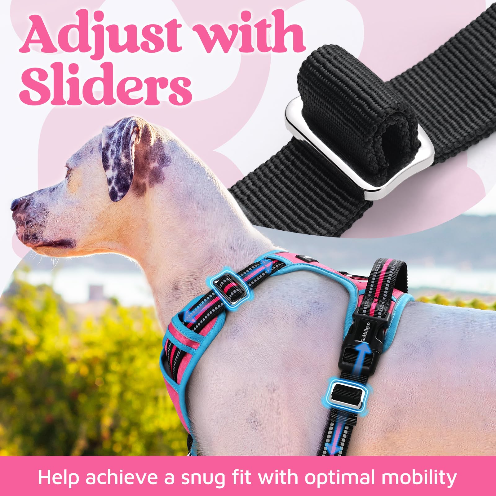rabbitgoo Harnais pour chien de petite taille, gilet anti-traction pour chien avec 3 boucles, harnais rembourré doux réglable avec poignée de contrôle facile et bandes réfléchissantes, rose et bleu,