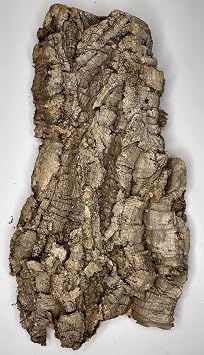 Cork Bark for Reptiles and Terrariums Assorted Rounds Flats 1lb Mixed Bag