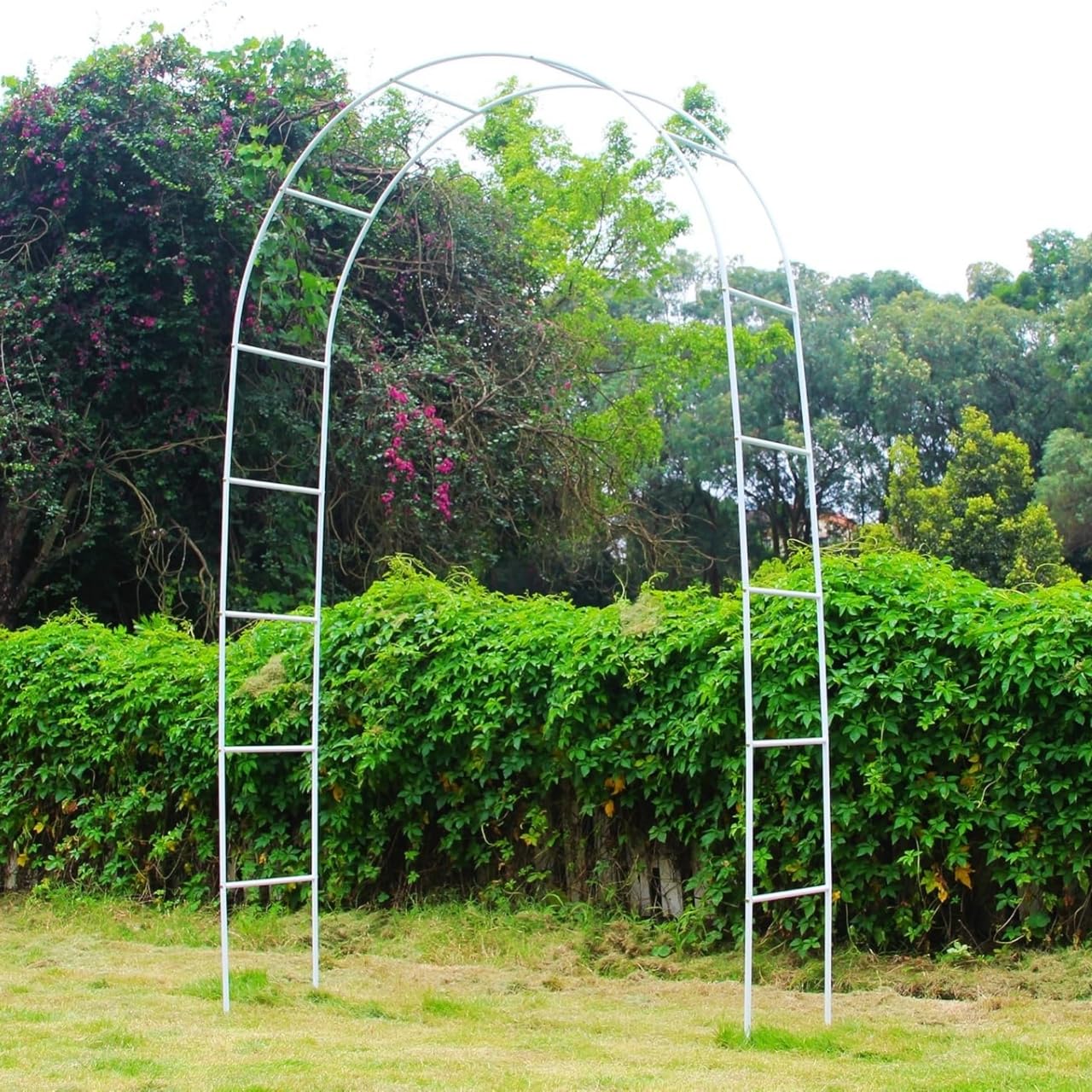 ecofynd Garden Arch - Metal Trellis for Climbing Plants -14