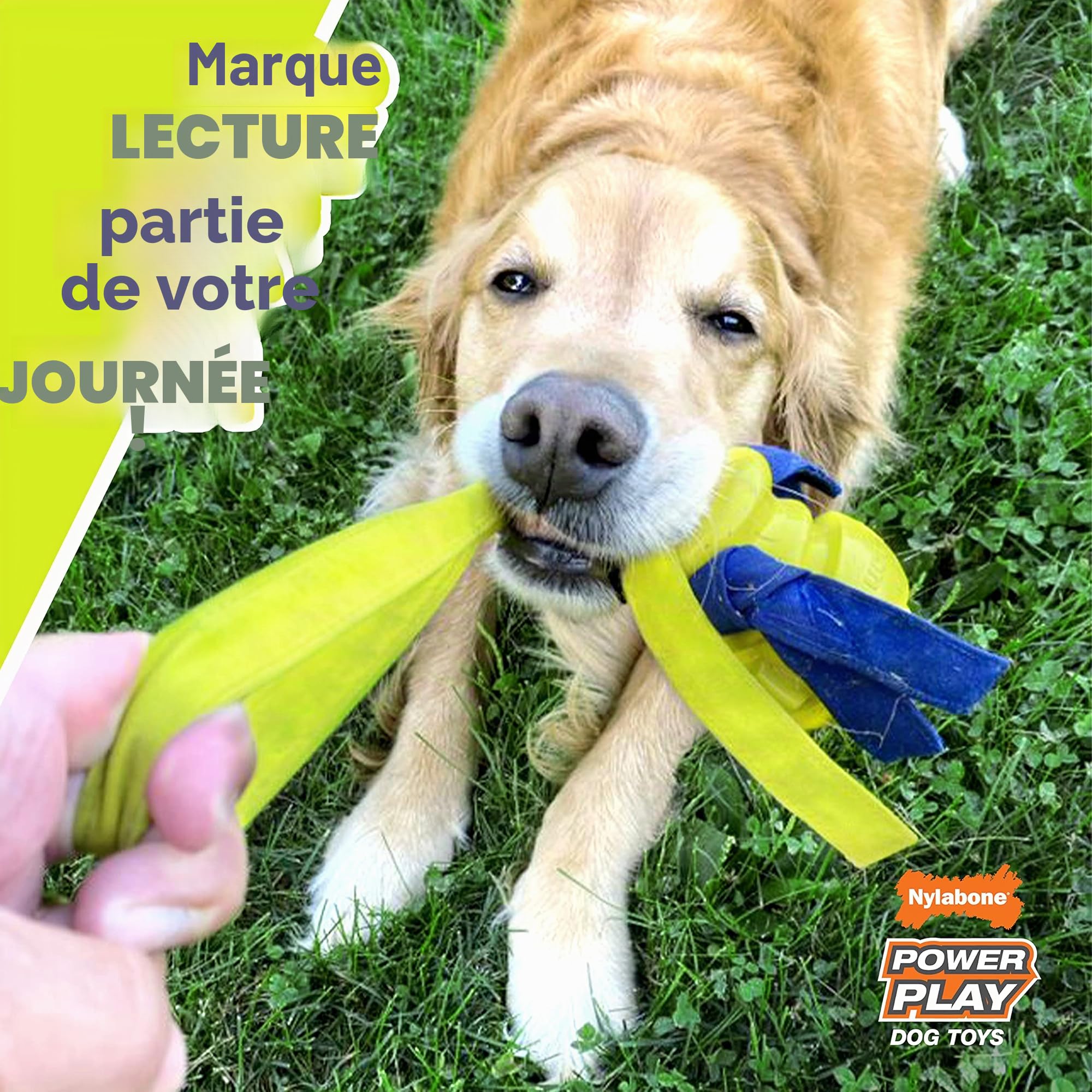 Nylabone Power Play Gripz B-Ball Ballon de Basketball pour Chien Taille L