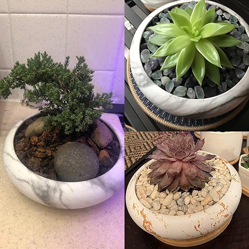 Miniatura 8 de ARTKETTY Macetas para suculentas  Macetas grandes para suculentas con drenaje de cerámica para bonsái con bandeja, macetas poco profundas para
