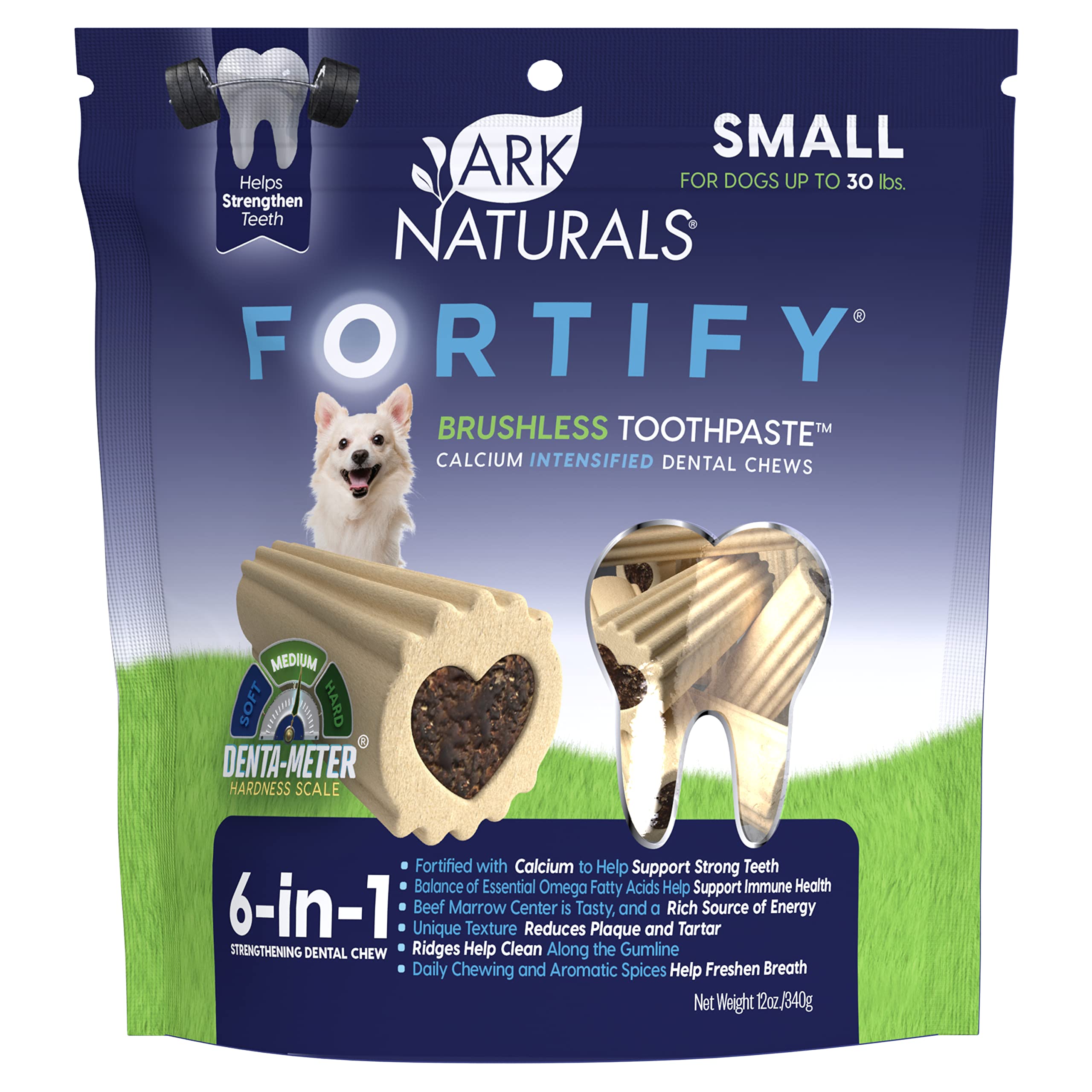 Amazon.com: ARK NATURALS Fortify Brushless Toothpaste – Small
