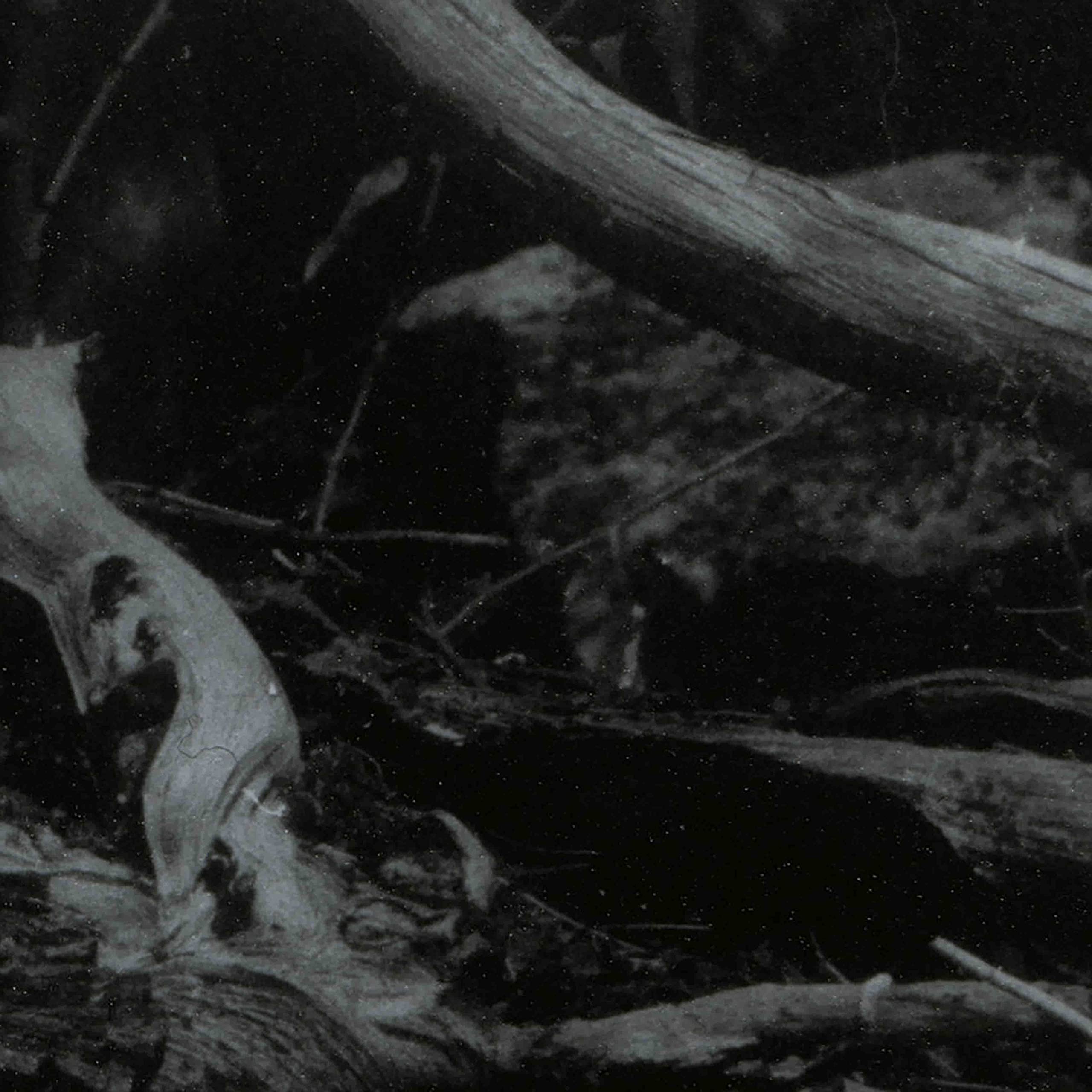 World Of Wounds