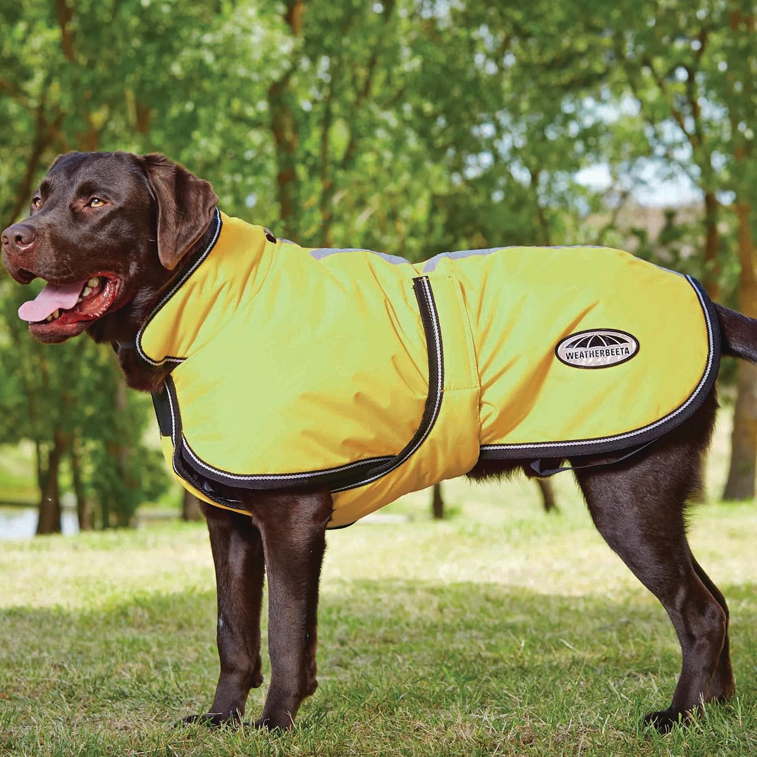 WeatherBeeta ComFiTec Reflective Parka 300D Deluxe Dog Coat - Yellow - 14"