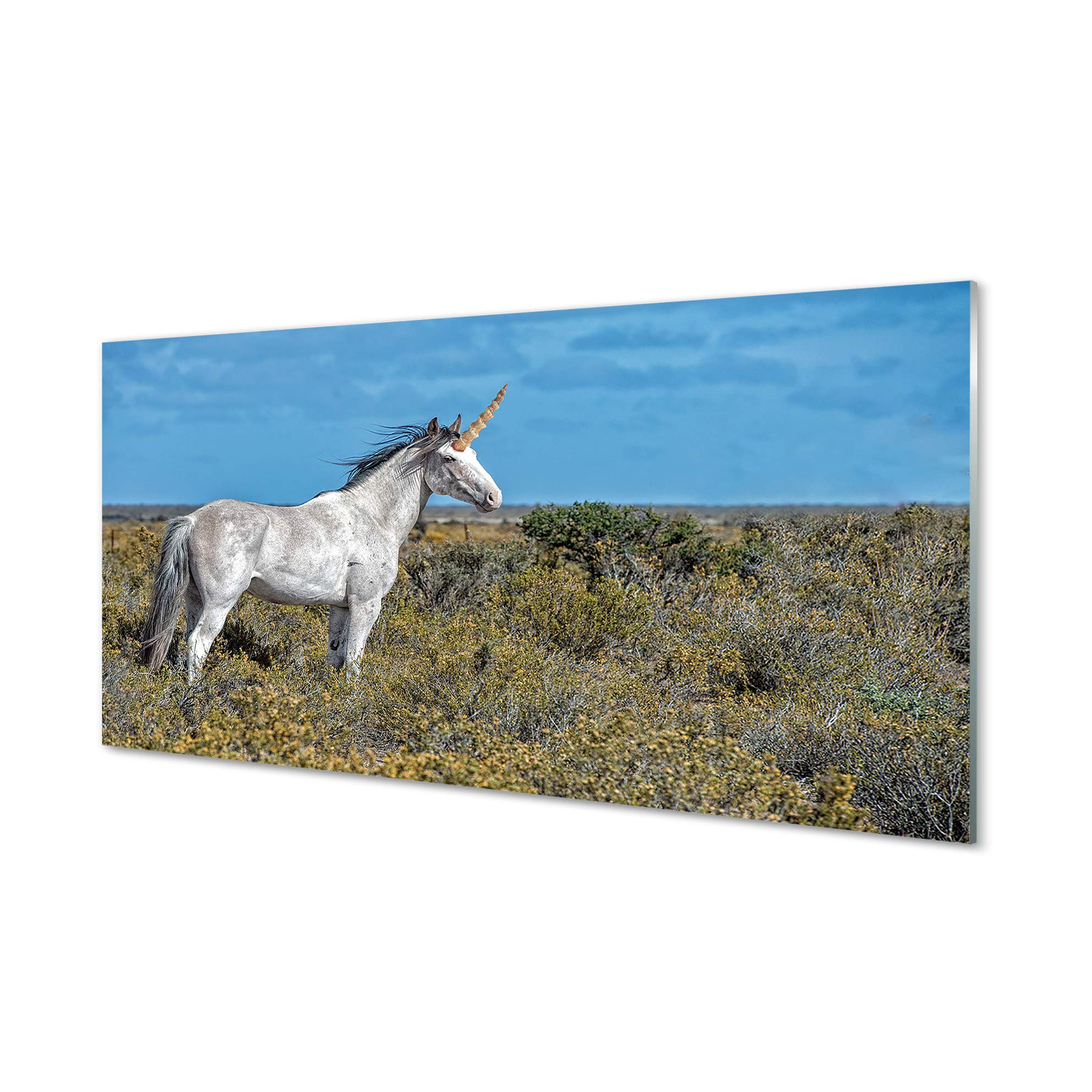 Dosseret en verre trempé licorne 120x60cm pour rénover un mur abîmé sans travaux