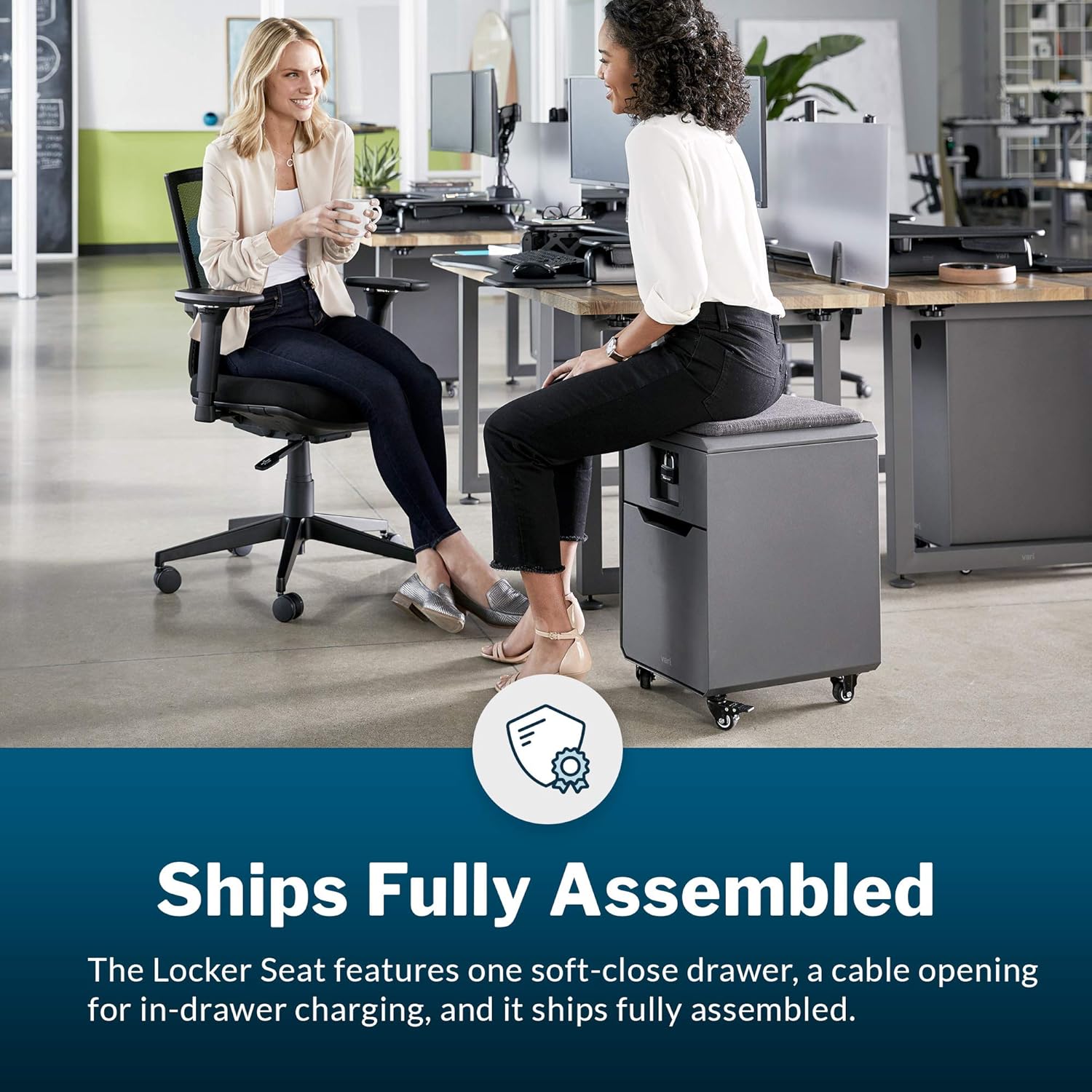 Vari Locker Seat for Office Storage and Seating - File Cabinet with Roll-and-Lock Casters - Mobile Pedestal for Rolling Under Desk - Removable Cushion (Charcoal Grey) : Office Products