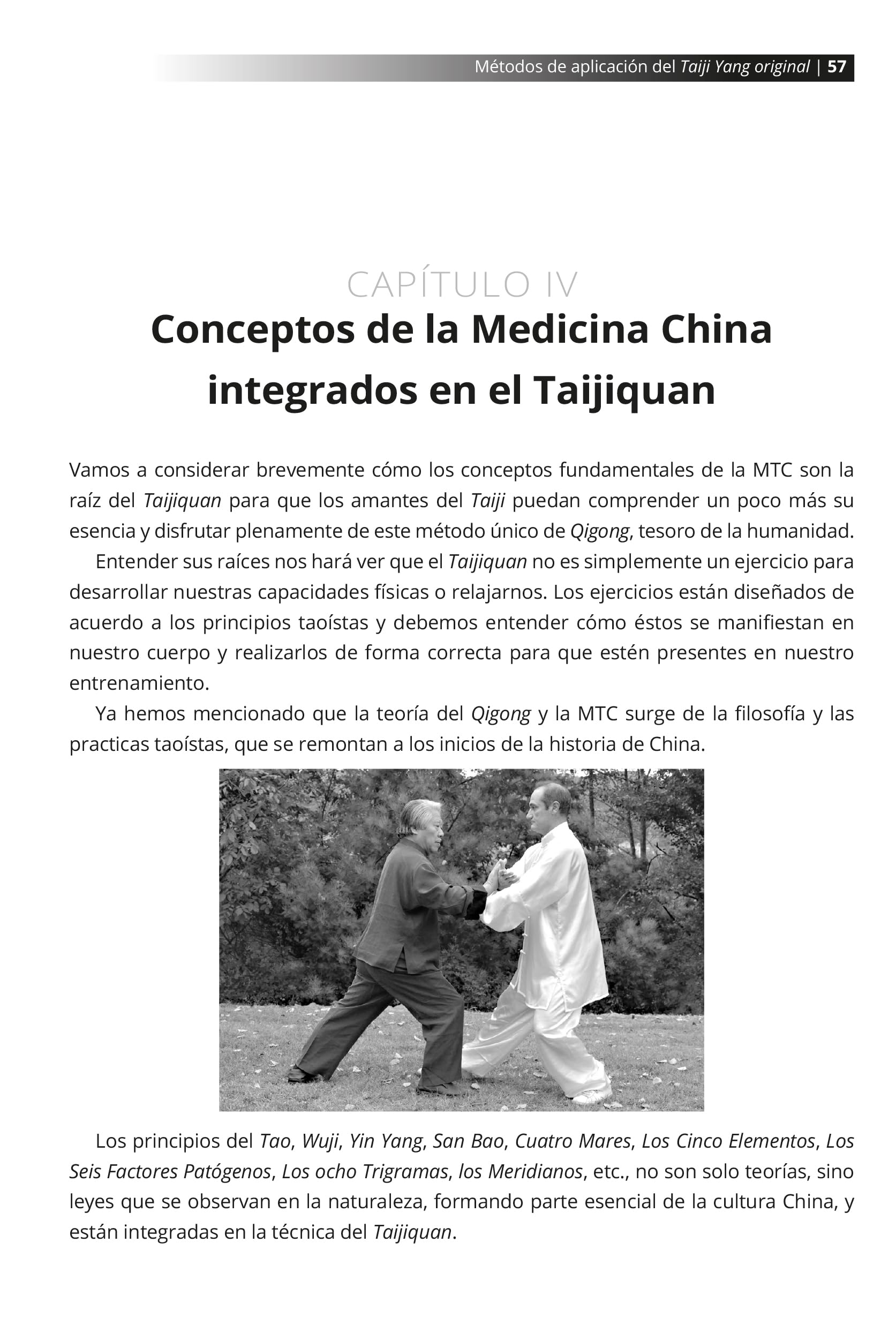 Métodos de aplicación del Taiji Yang original