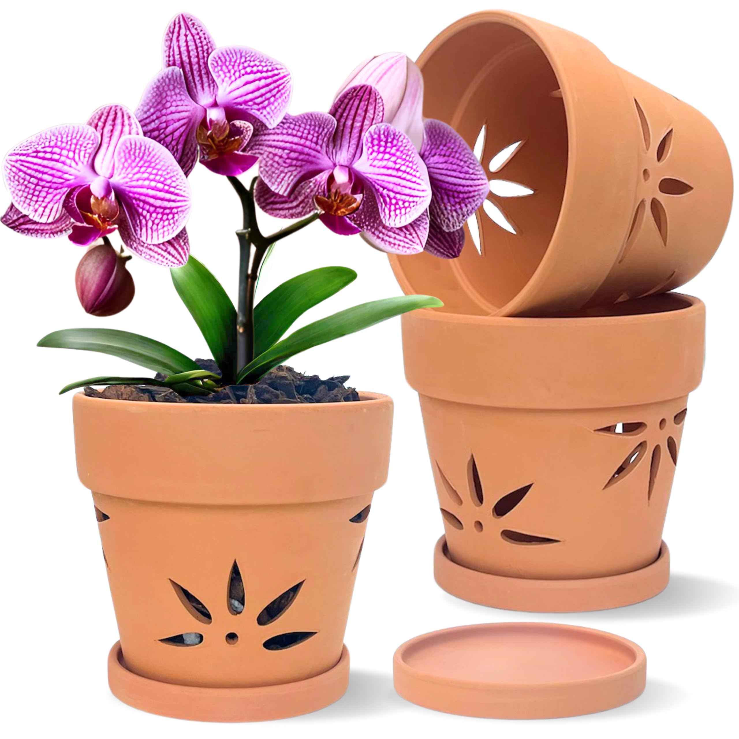 Amazon.com: Thriving Thicket Handmade 3 Pack 6 inch Terracotta
