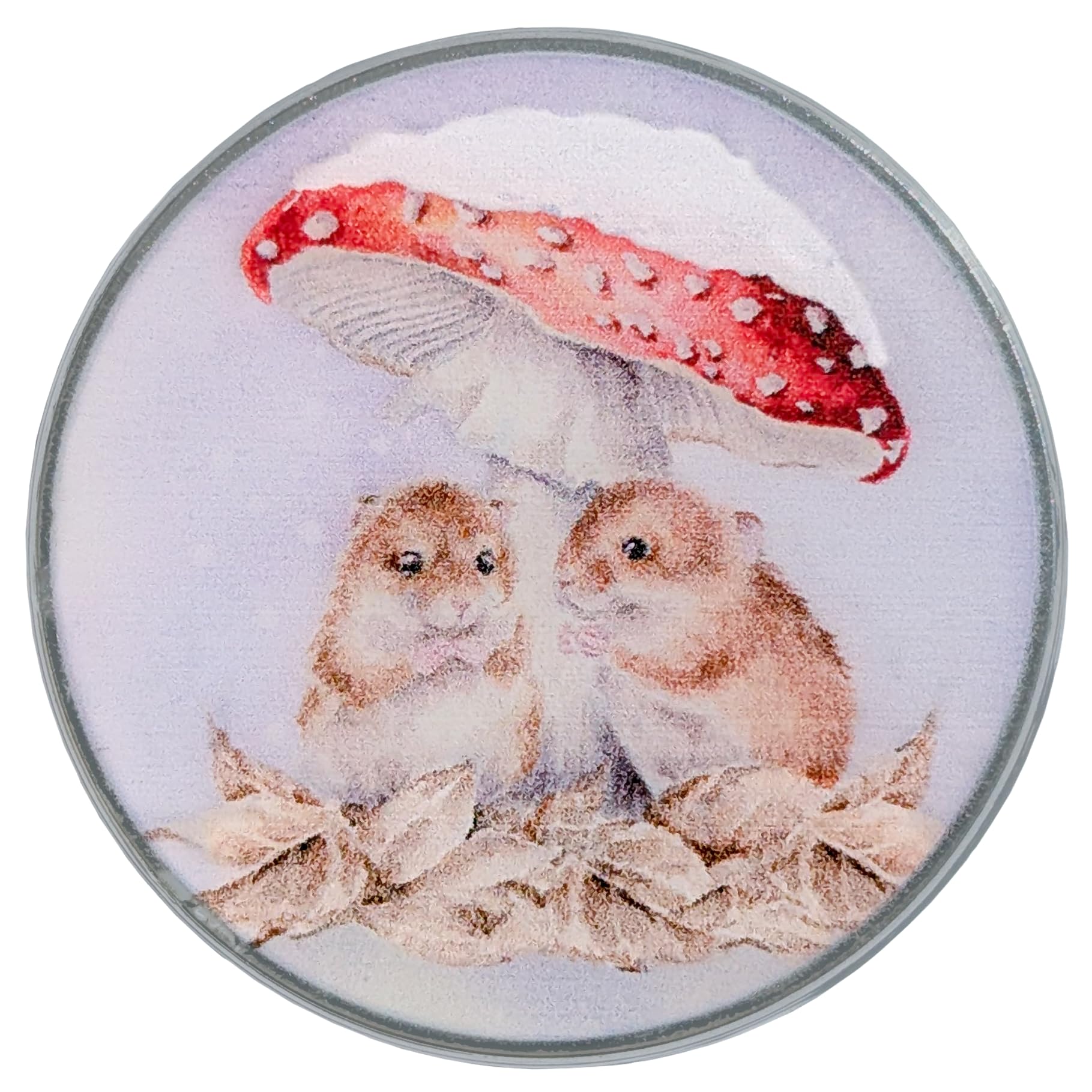 Mushroom At The Inn Needle Minder