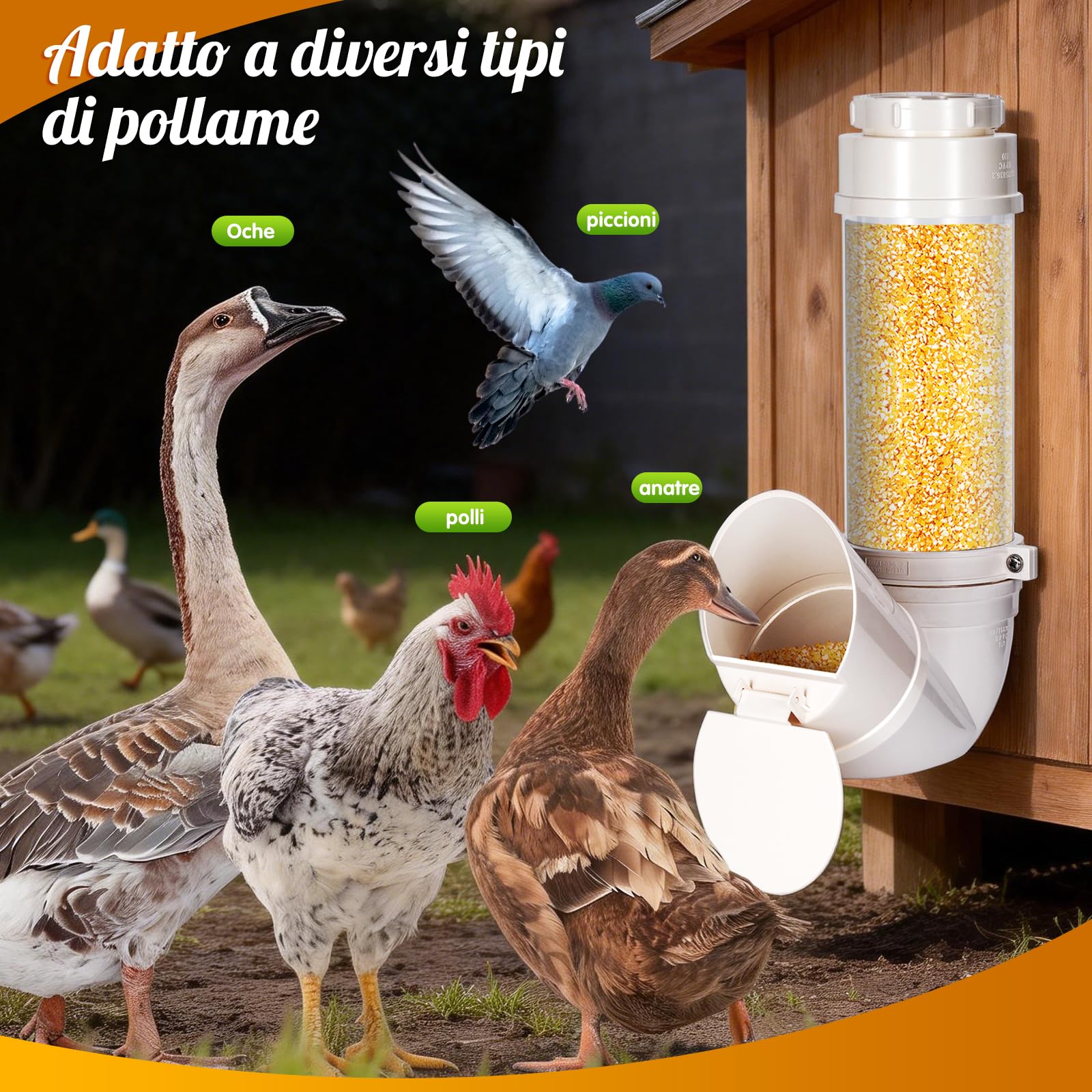 Mangiatoia Galline,Dispensatore di Mangime Galline Anti Topo & Antispreco,4L/3kg Mangiatoia Per Galline Sospesa,Pvc Mangiatoia Automatica Per Galline,Distributore Automatico Di Mangime