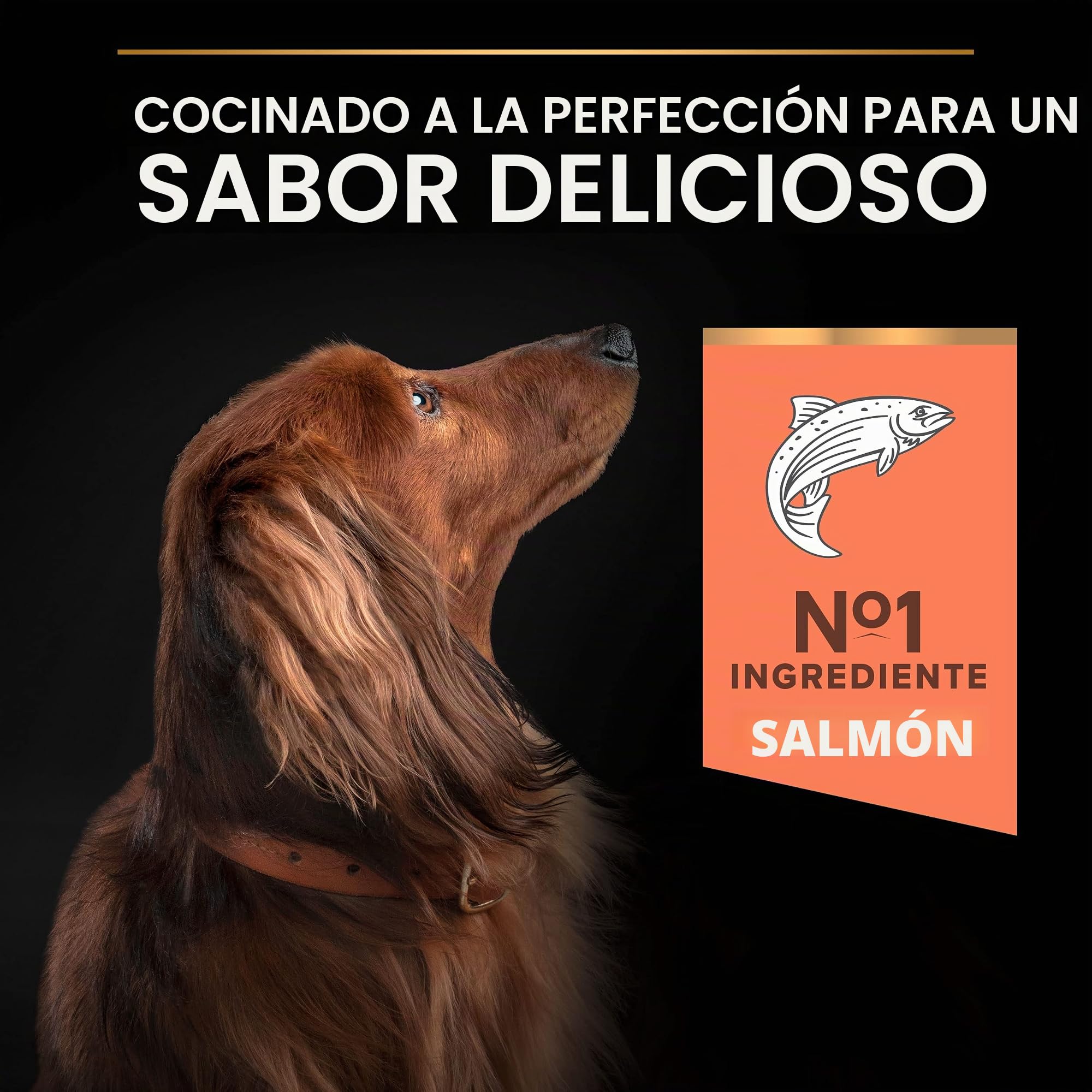 Purina Pro Plan Small Derma Pienso para Perro pequeño, Mini, Adulto, Piel y Pelaje con Salmón, 8 bolsas de 700g