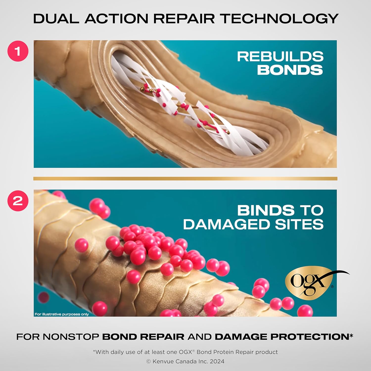 OGX Repair & Protect Bond Protein 230°C Heat Protect Spray, Thermal Protection Spray for Targeted Damage Repair & Protection from Heat Damage, 193 mL - Image 3