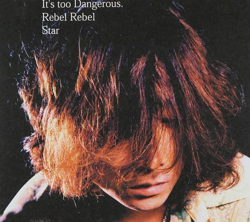 レア 非売品 浅井健一　FIXER CD DVD告知ポスター B2サイズ Amazon.co.jp: FRIED RICE - Pocky in Leatherboots Tour FINAL
