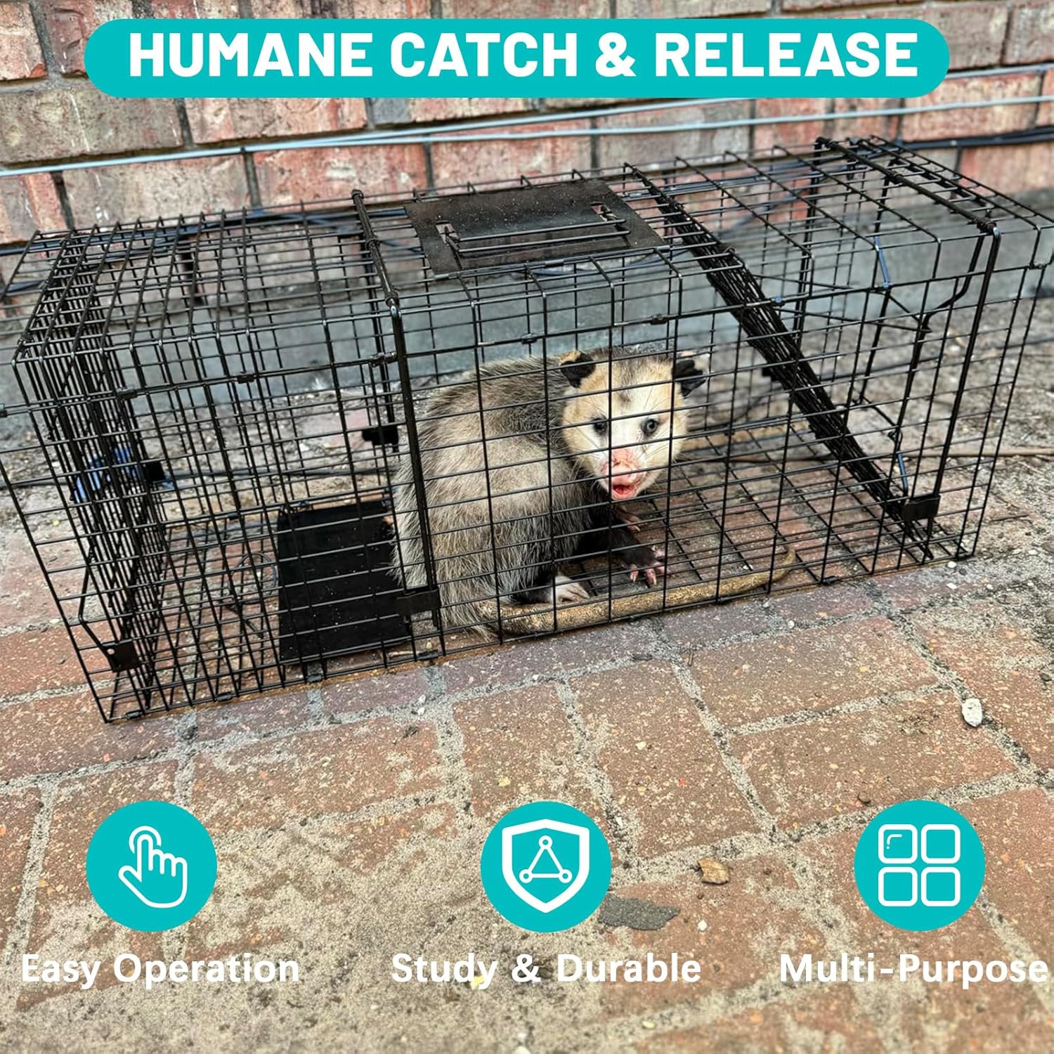 Live Humane Animal Trap, 32" x 11" x 12" Heavy Duty Humane Animal Cage Trap Catch and Release, Foldable Cat Trap for Stray Cats, Raccoons, Groundhogs, Opossums, Armadillos, and Similar-Sized Animals