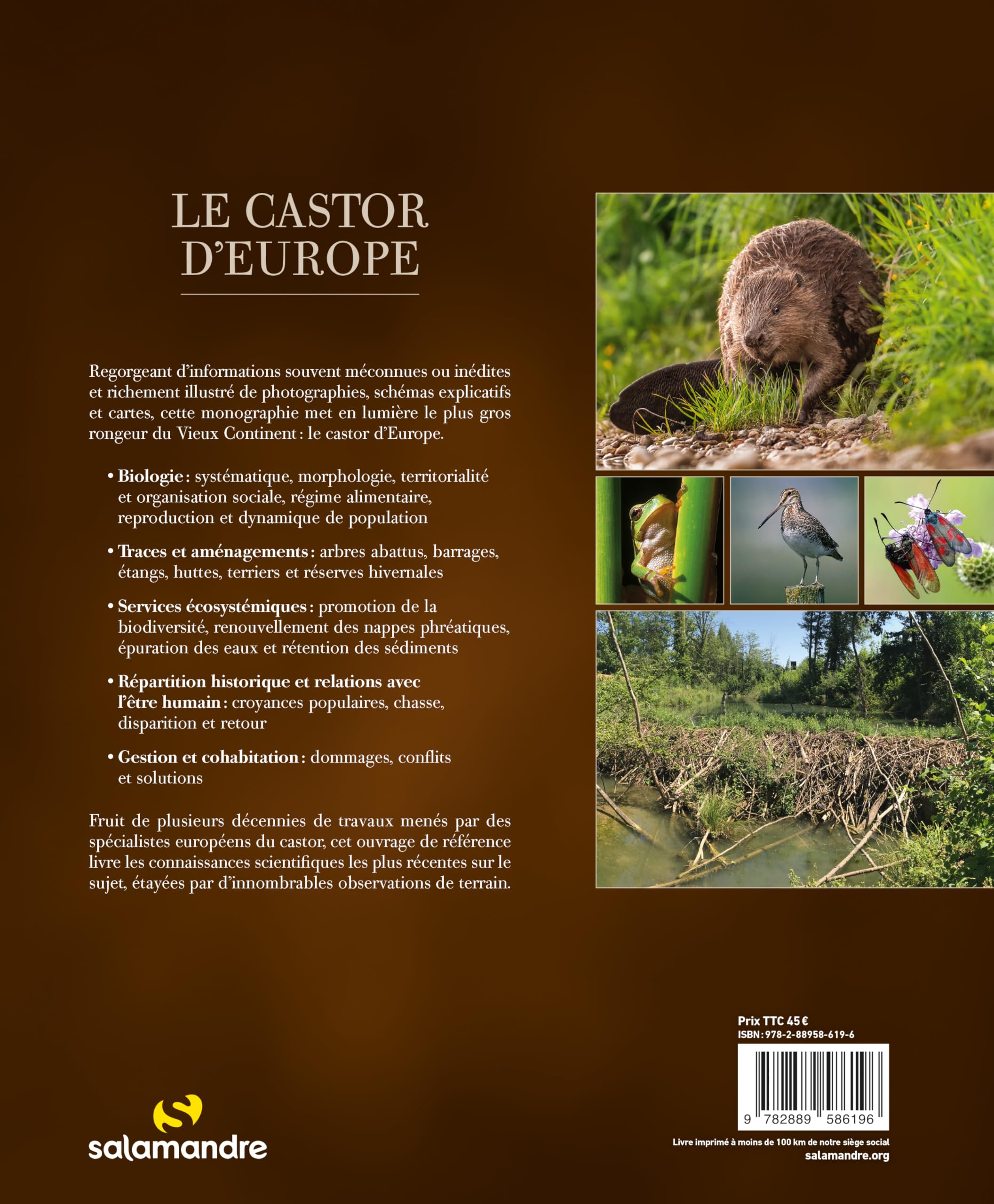 Le castor d'Europe