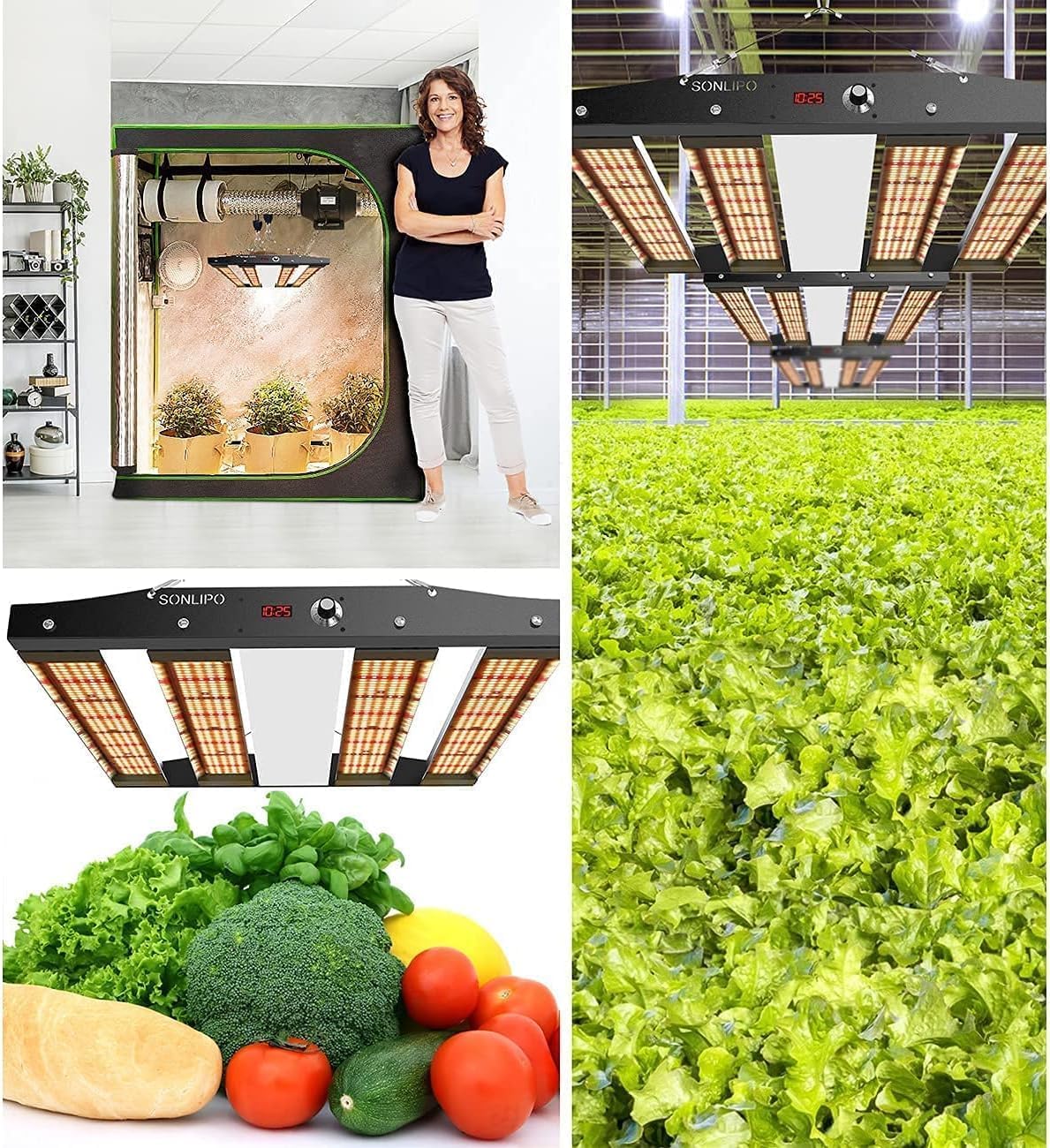 250W Lampada Full Spectrum per Piante con 1220 Sam LEDs, Timer Dimmabile