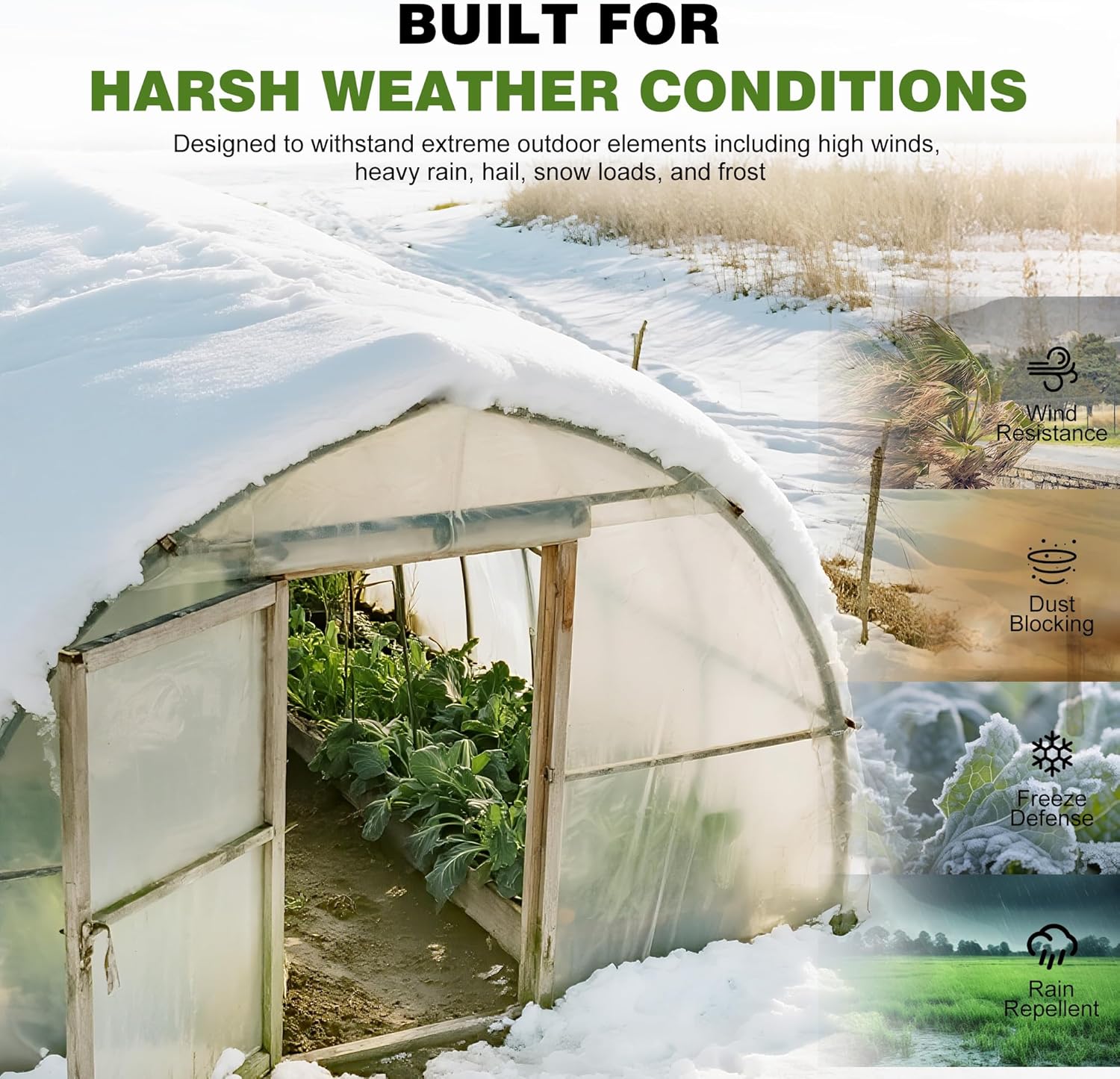 6 Mil Plastic Sheeting, 12x25 FT, Greenhouse Plastic, Heavy Duty, Polyethylene Film, UV Resistant, Tear-Proof, for Garden, Agriculture, Painting Floor Protection