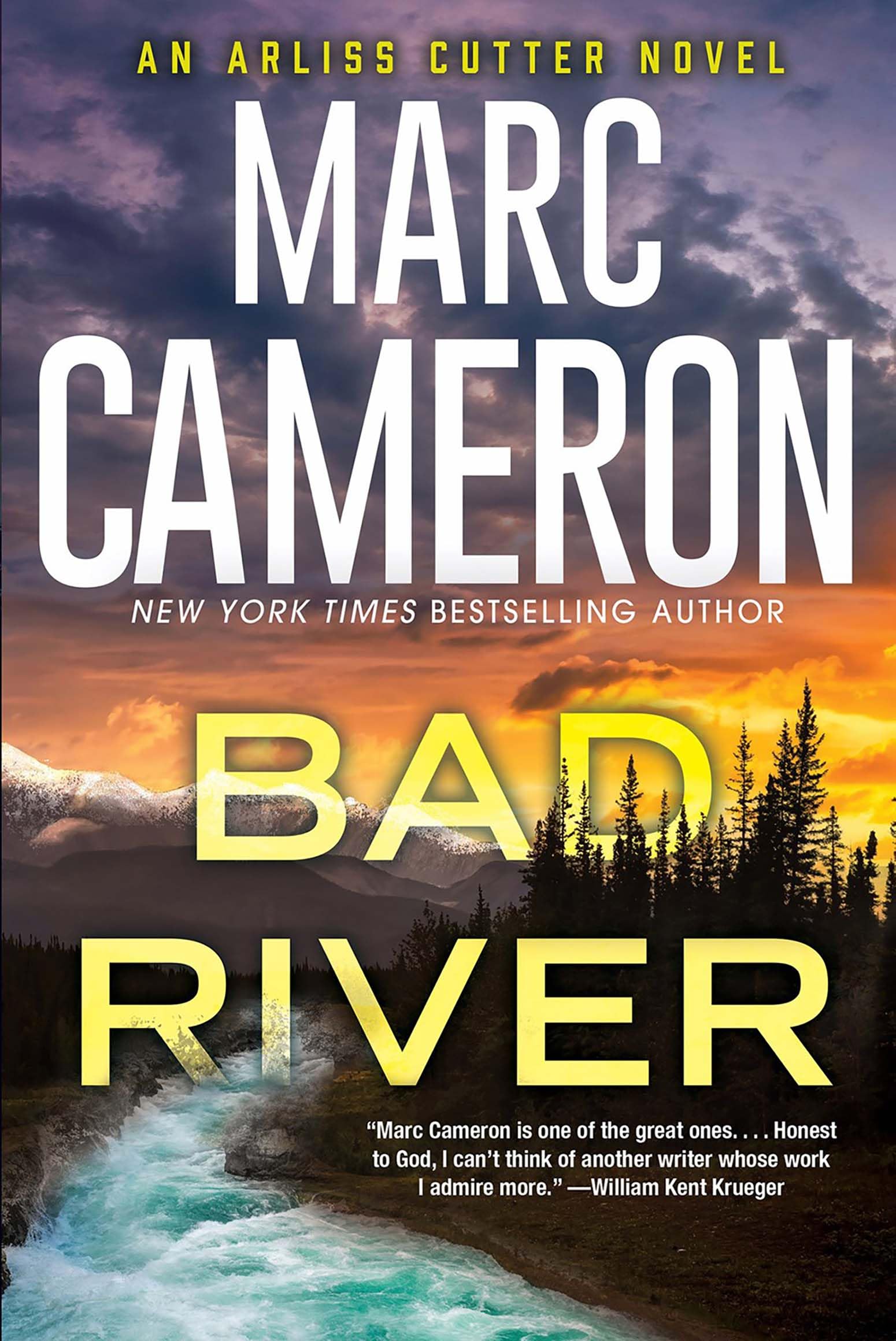 Bad River (An Arliss Cutter Novel Book 6)