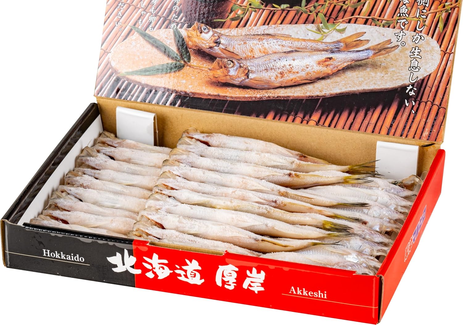 雲のはしご物語の王国2 & わたしのあのこあのこのわたし セット このわた