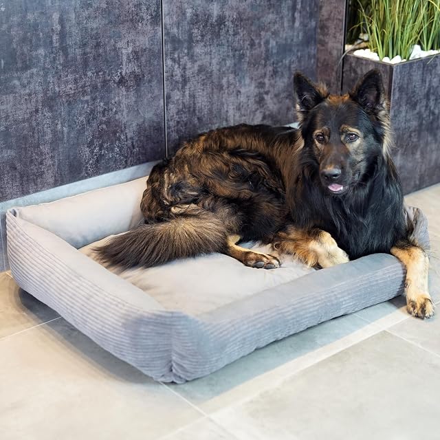 Foto 3 de 8 de 4L Textil Otto Acogedora Cama para Perro Funda Desenfundable y Lavable Cesta para Perro Cojín para Perro…