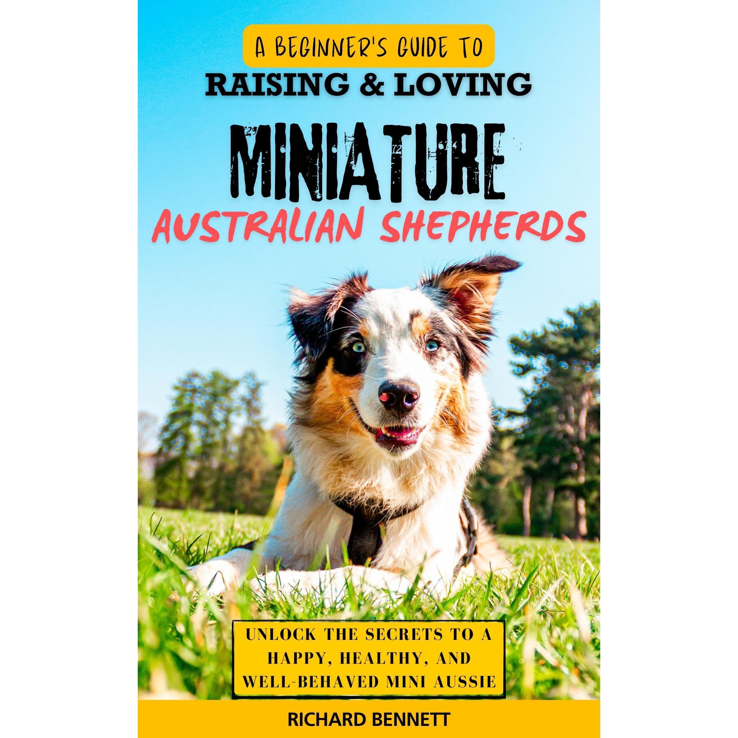 A Beginner’s Guide to Raising & Loving Miniature Australian Shepherds