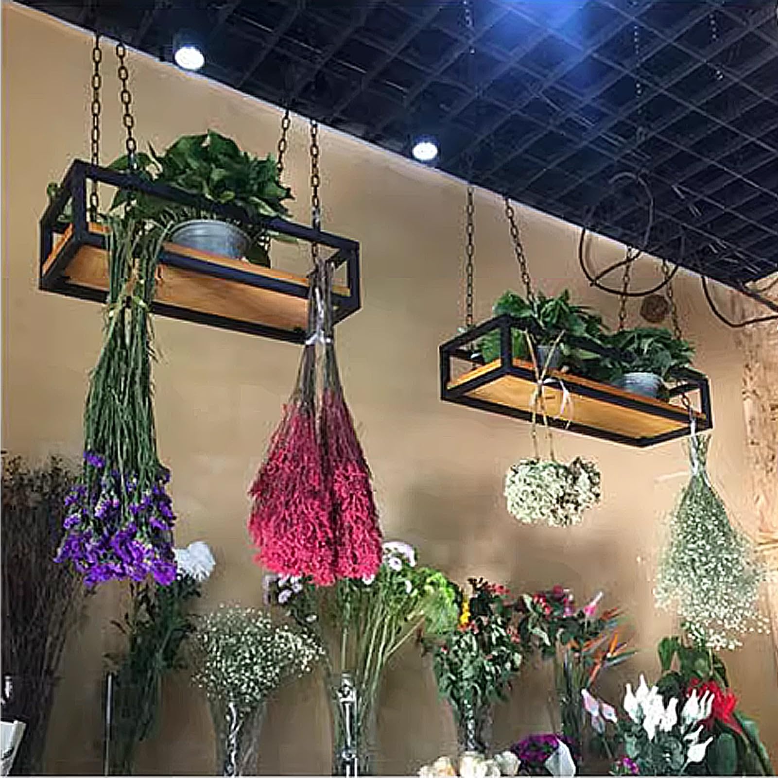 Étagères de plafond créatives pour plantes et décoration de cuisine moderne