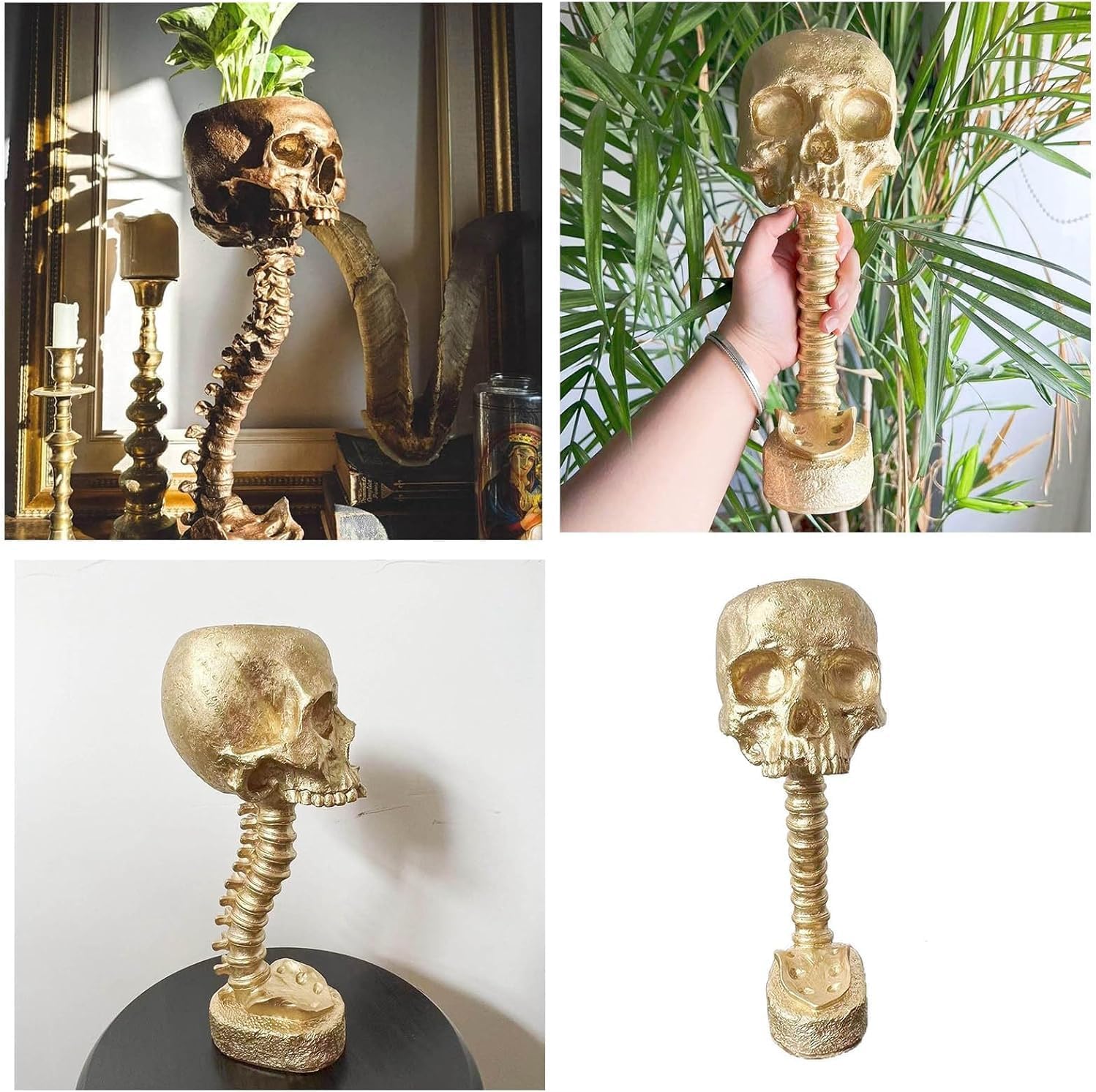 Skull Planter with Spine Stand, Resin Skull Head Flower Succulent Cactus Planter Pots, Skeleton Flower Gothic Vase Decor for Home Office Desk Decorations,Halloween Scene Statue Sculptur (Black)