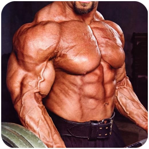 Perfect Bodybuilding Workout Trainer Plan