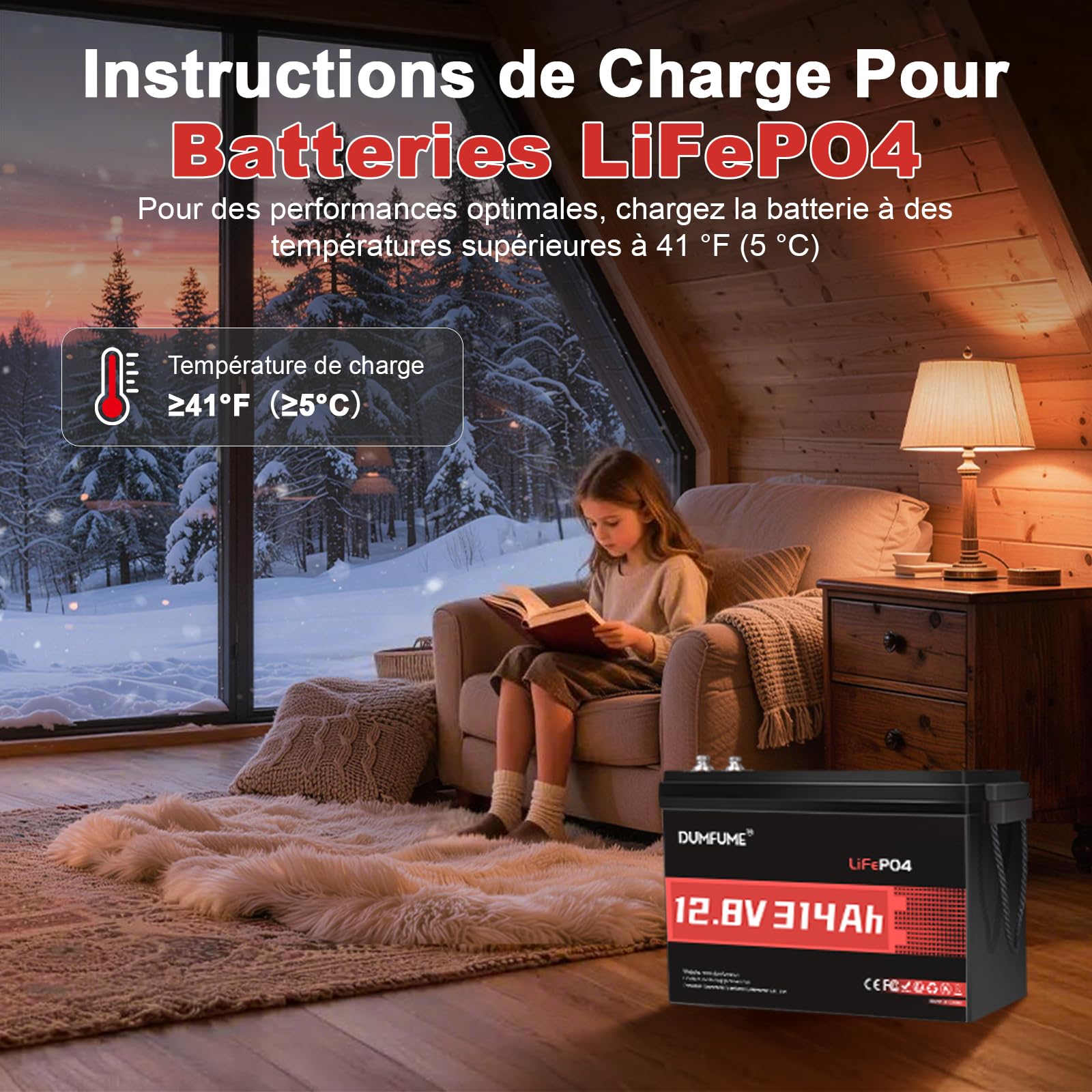 Batterie Lithium 12V 314Ah LiFePO4, Améliorée Batterie 12V 300Ah, 4019Wh BMS 200A, Protection Basse Température pour Stockage Solaire, Camping-Car, Alimentation Secours, Hors-Réseau